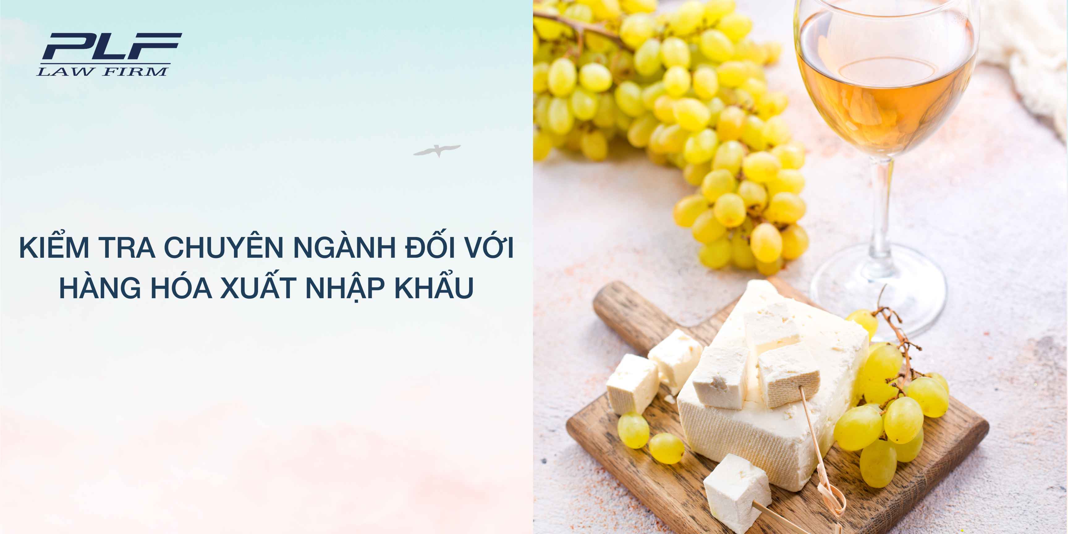 Plf Kiem Tra Chuyen Nganh Doi Voi Hang Hoa Xuat Nhap Khau