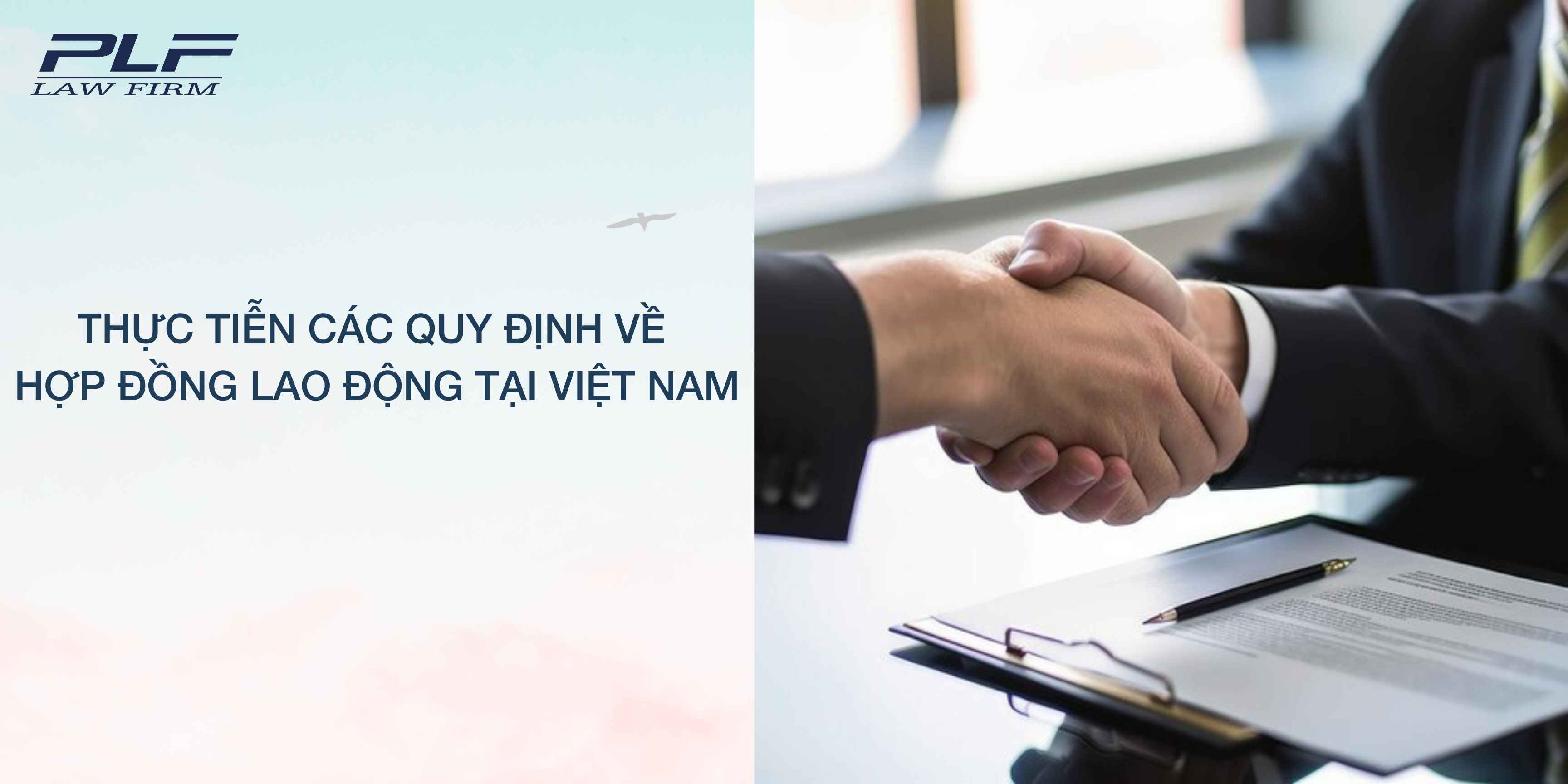 Plf Thuc Tien Cac Quy Dinh Ve Hop Dong Lao Dong Tai Viet Nam