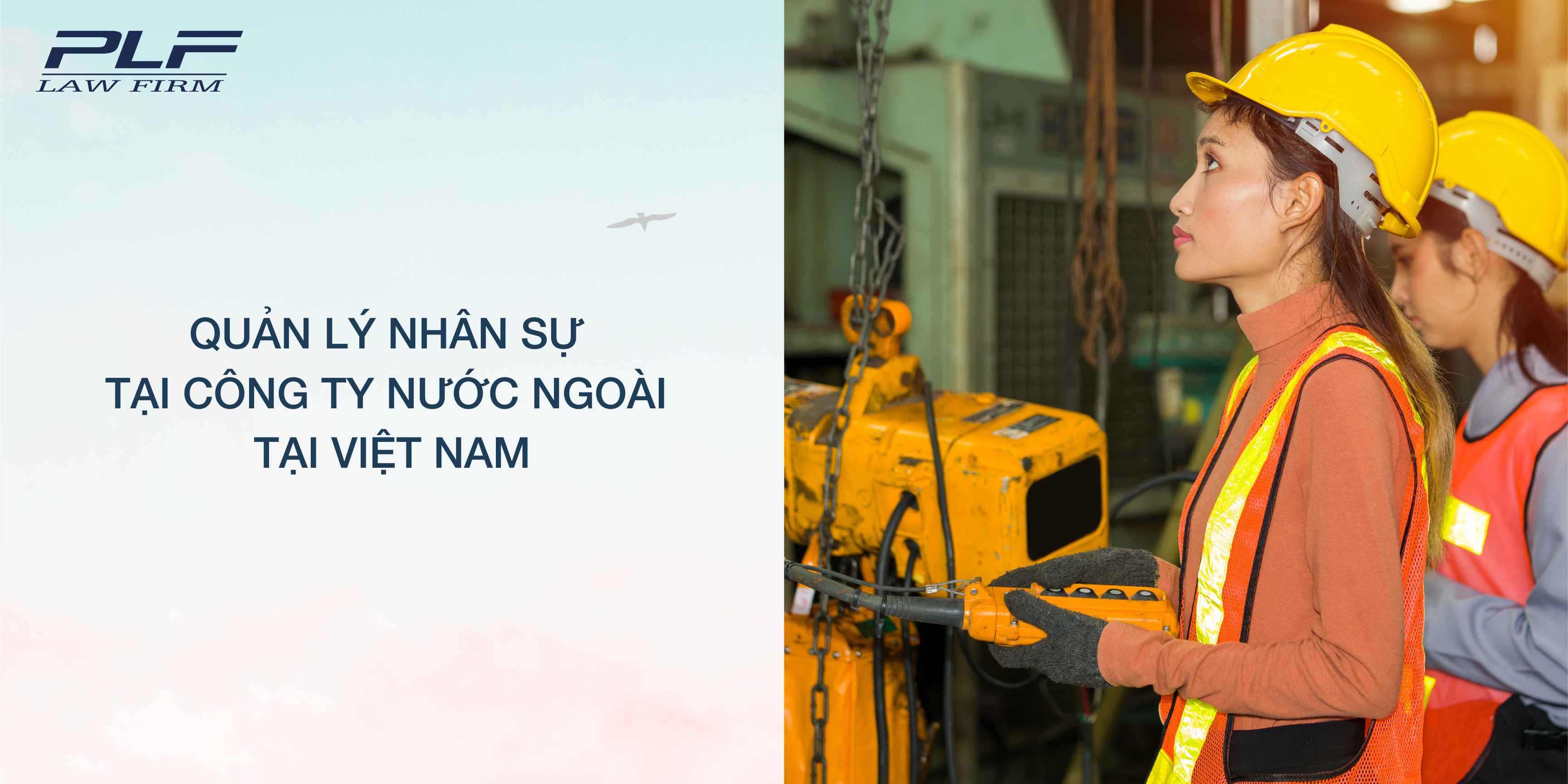 Plf Quan Ly Nhan Su Tai Cong Ty Nuoc Ngoai Tai Viet Nam