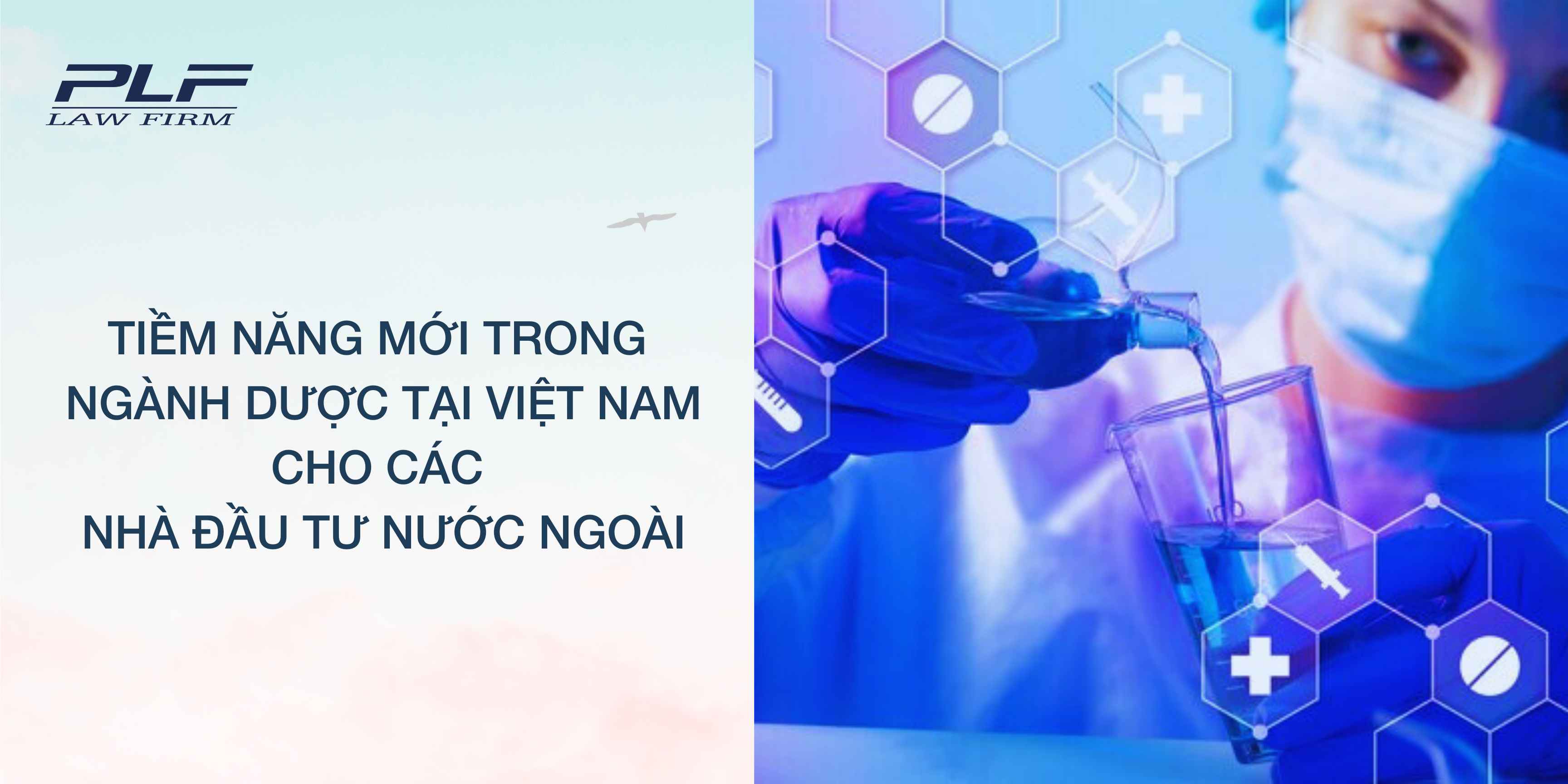 Plf Tiem Nang Moi Trong Nganh Duoc Tai Viet Nam Cho Cac Nha Dau Tu Nuoc Ngoai
