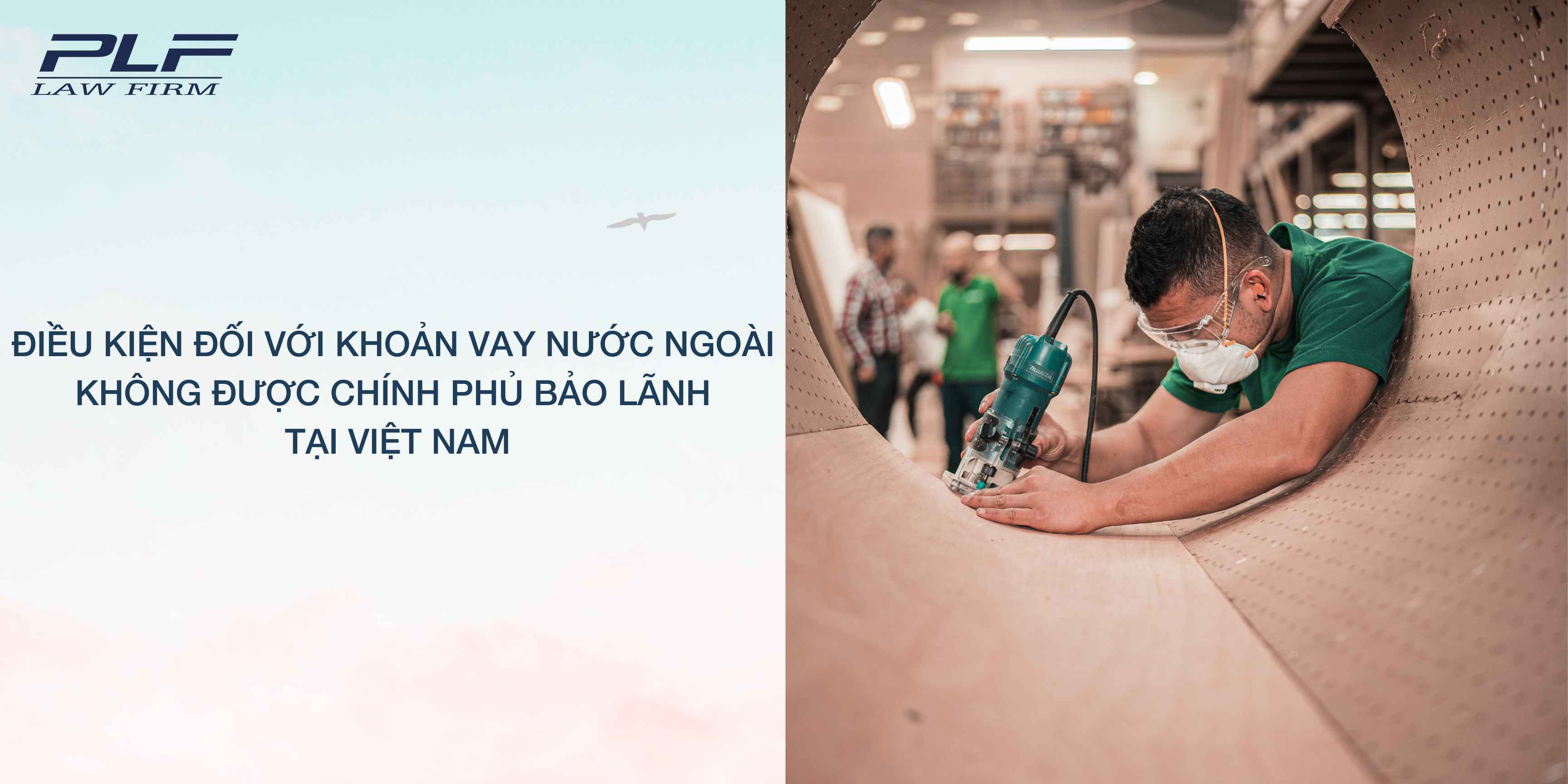 Plf Dieu Kien Doi Voi Khoan Vay Nuoc Ngoai Khong Duoc Chinh Phu Bao Lanh Tai Viet Nam