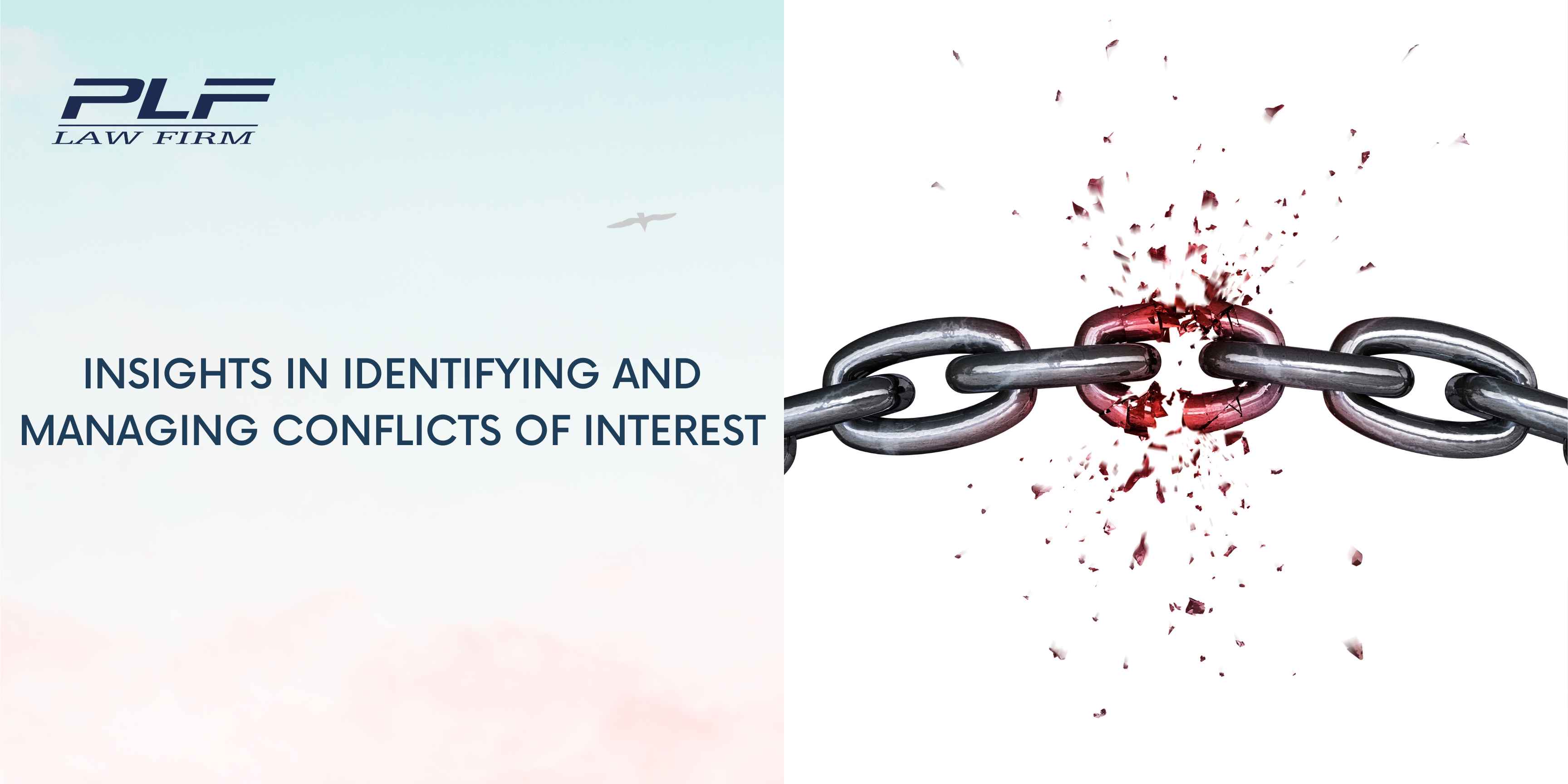 Plf Insights In Identifying And Managing Conflicts Of Interest