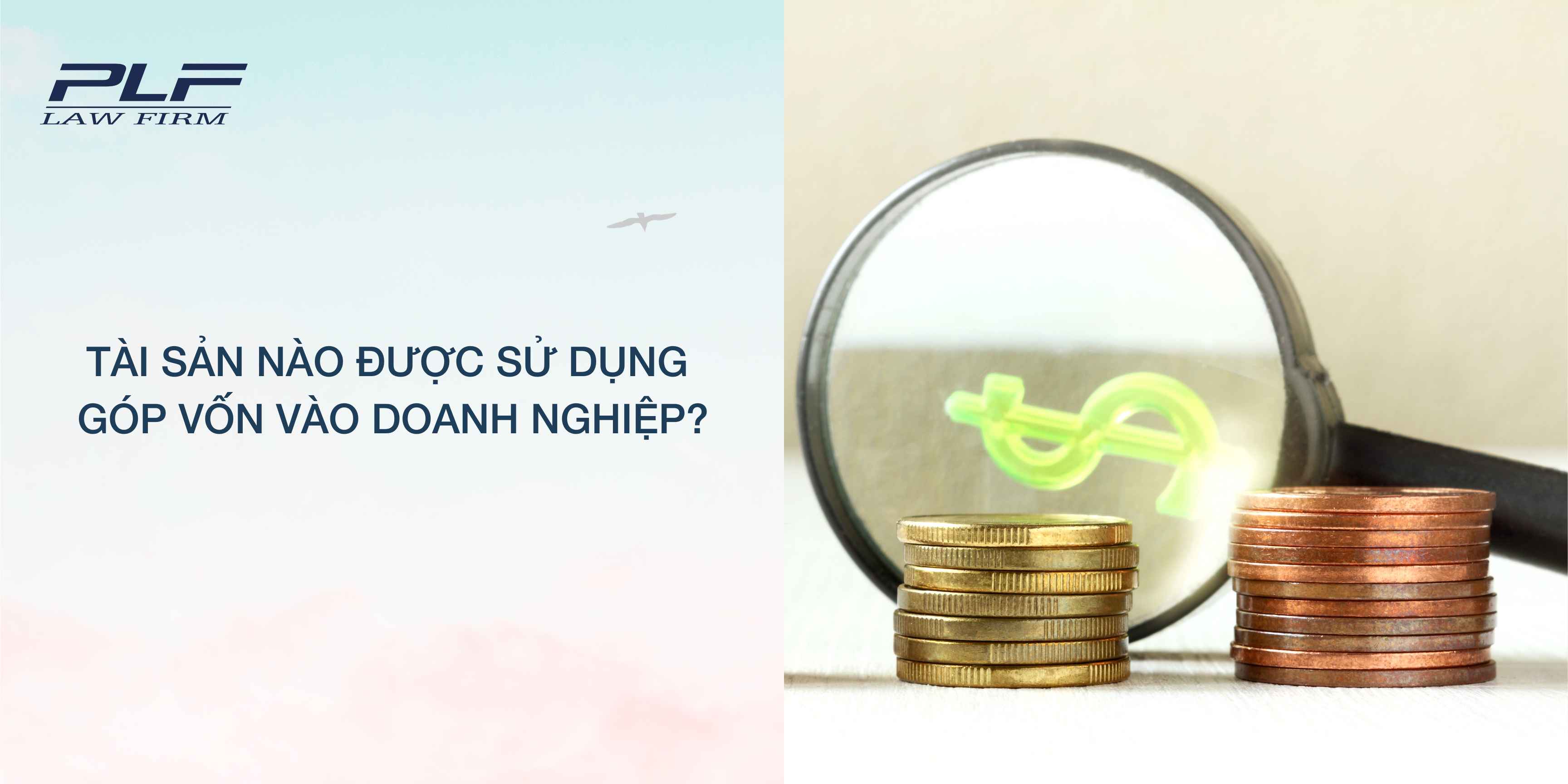 Plf Tài sản nào được sử dụng góp vốn vào doanh nghiệp