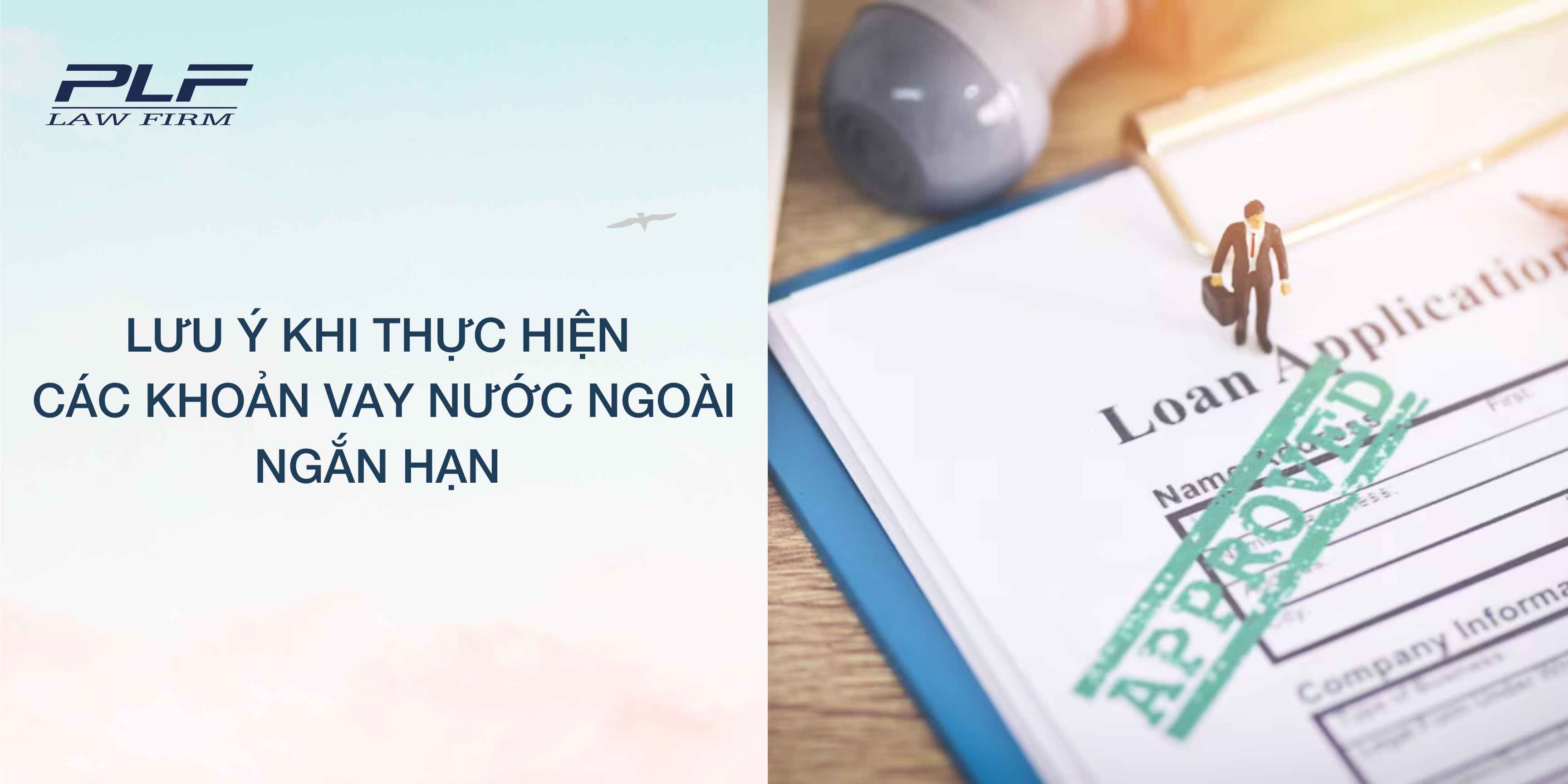 Plf Luu Y Khi Thuc Hien Cac Khoan Vay Nuoc Ngoai Ngan Han