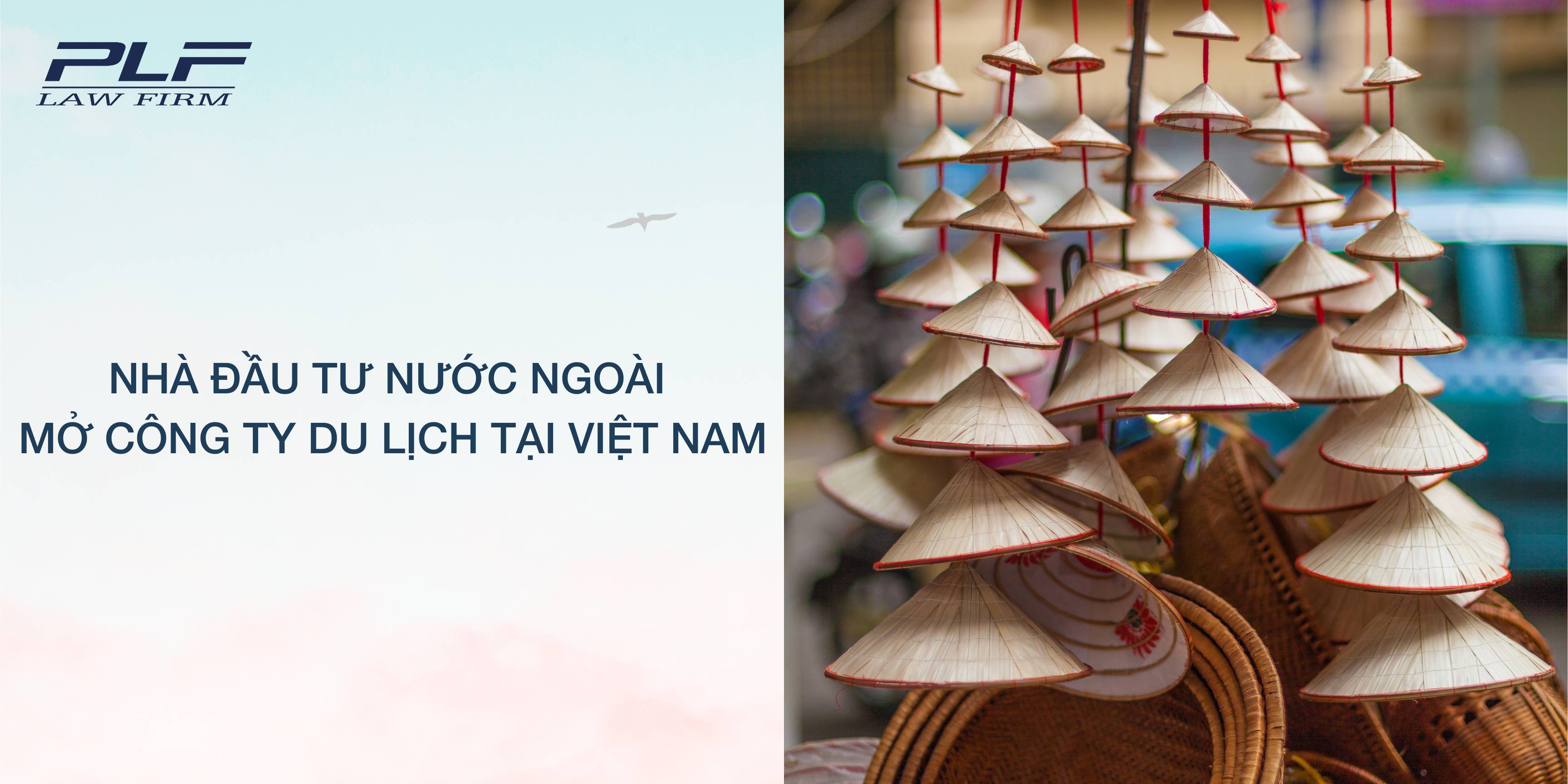 Plf Nha Dau Tu Nuoc Ngoai Mo Cong Ty Du Lich Tai Viet Nam