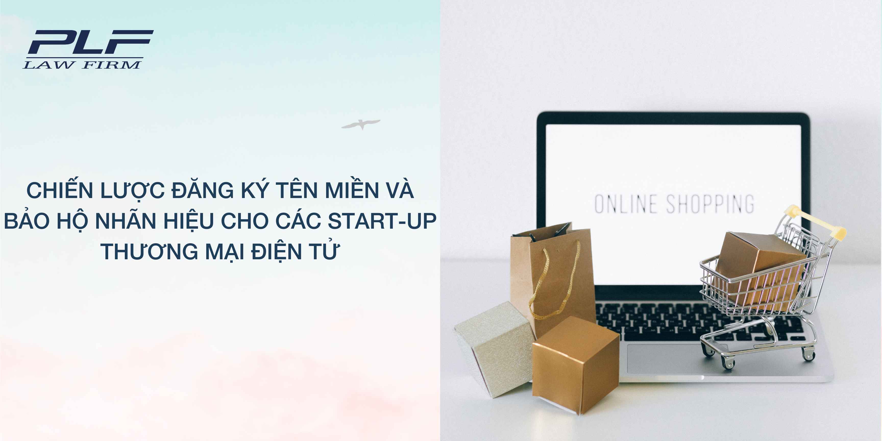 Plf Chiến lược đăng ký tên miền và bảo hộ nhãn hiệu cho các start-up thương mại điện tử