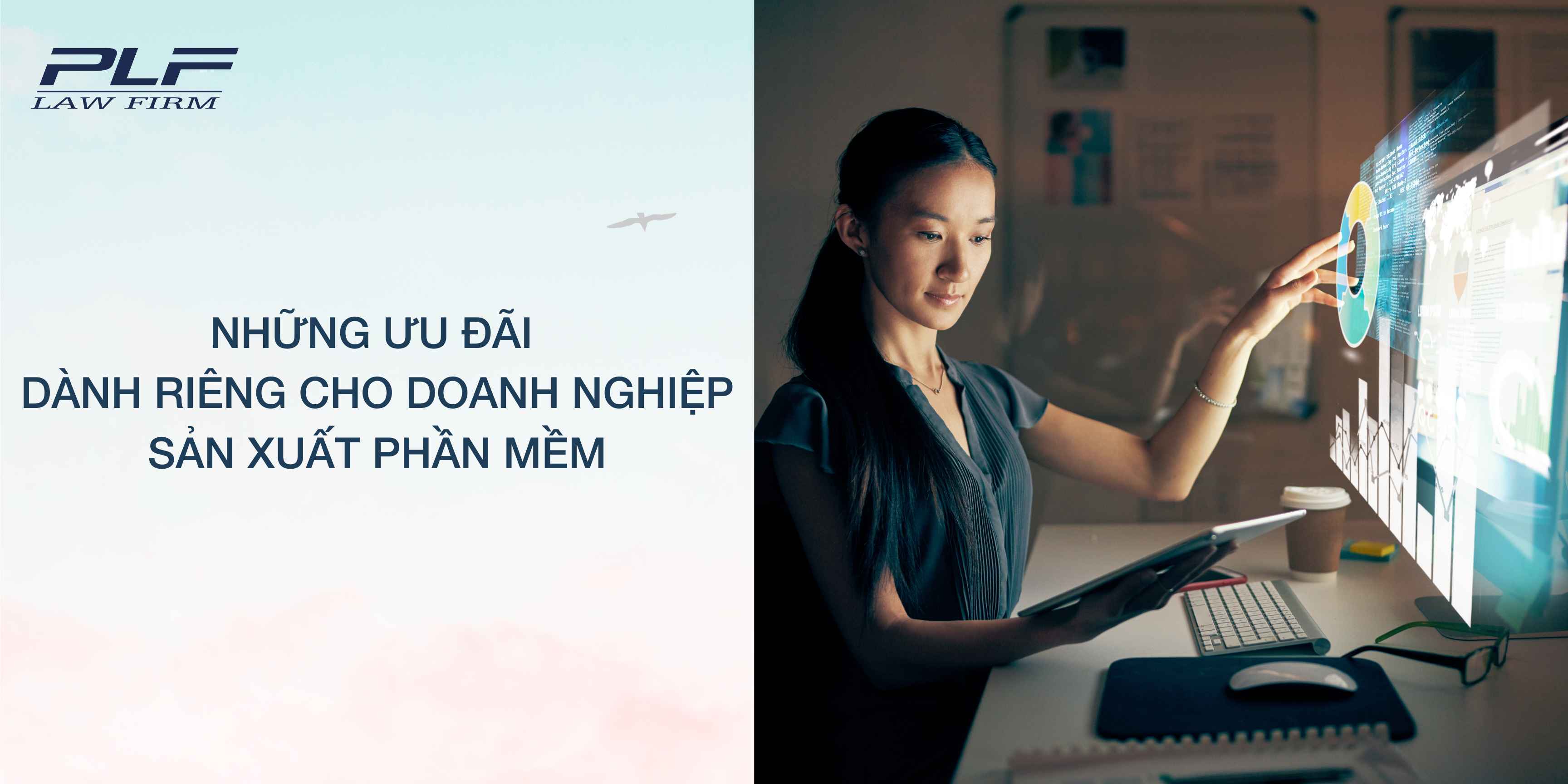 Plf Những ưu đãi dành riêng cho doanh nghiệp sản xuất phần mềm