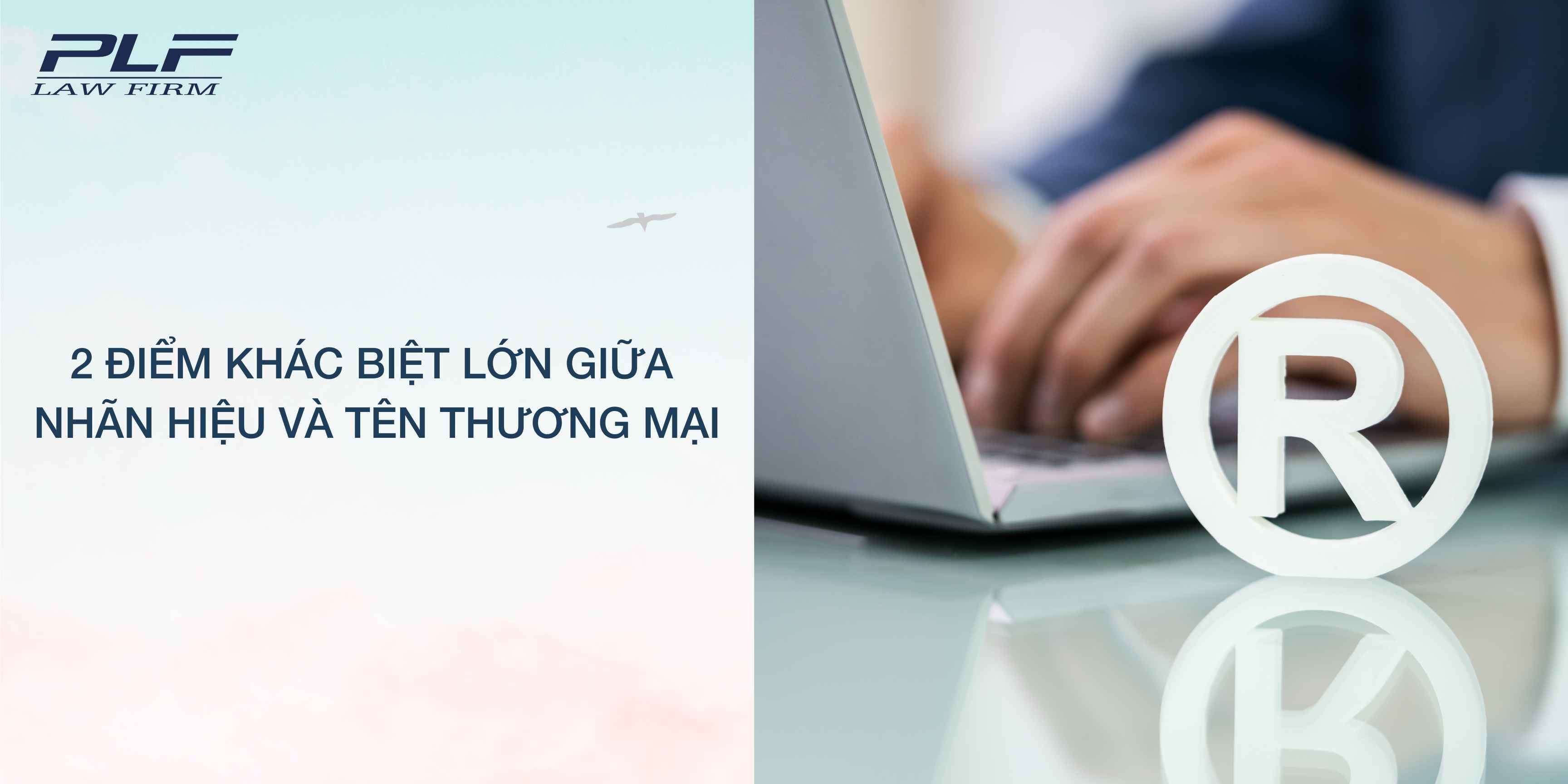 Plf 2 Diem Khac Biet Lon Giua Nhan Hieu Va Ten Thuong Mai