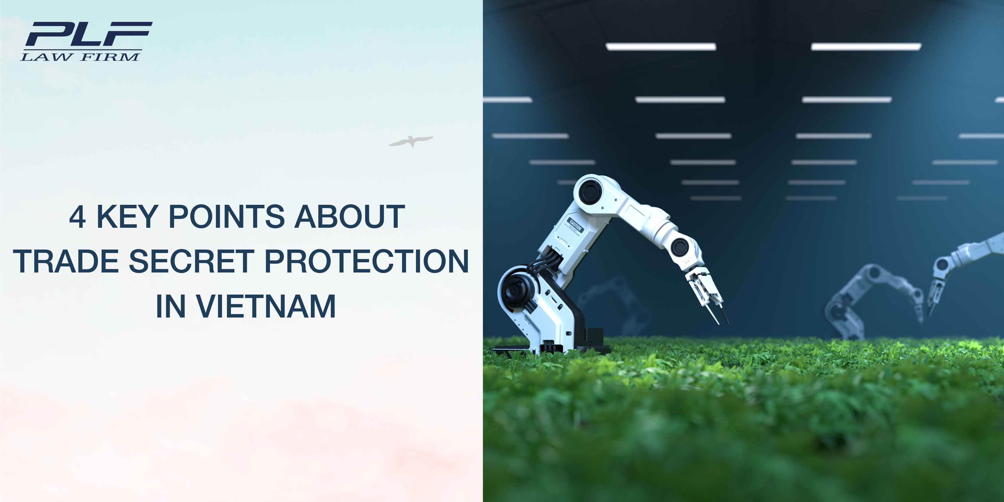 Plf 4 Key Points About Trade Secret Protection In Vietnam