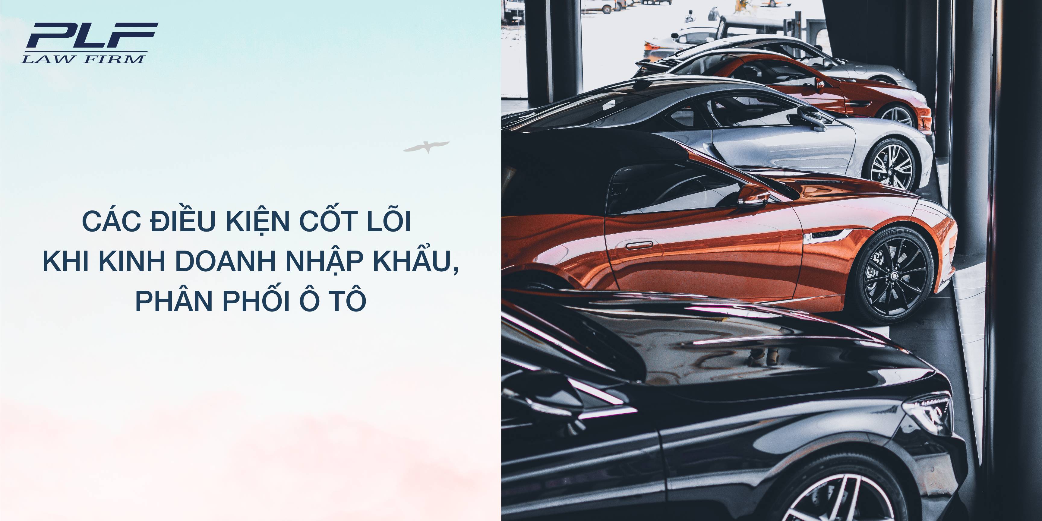 Plf Cac Dieu Kien Cot Loi Khi Kinh Doanh Nhap Khau Phan Phoi O To