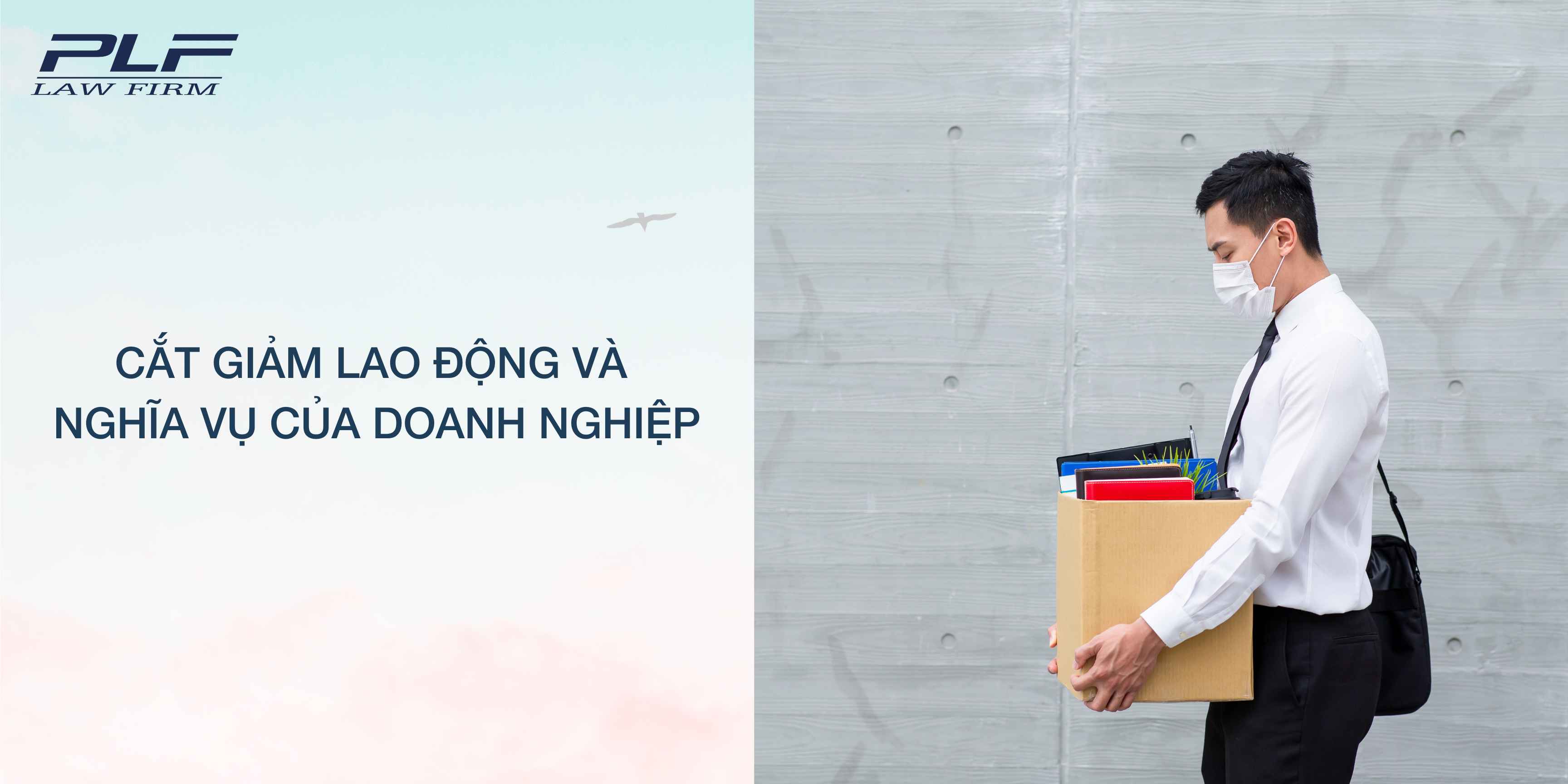 Plf Cat Giam Lao Dong Va Nghia Vu Cua Doanh Nghiep