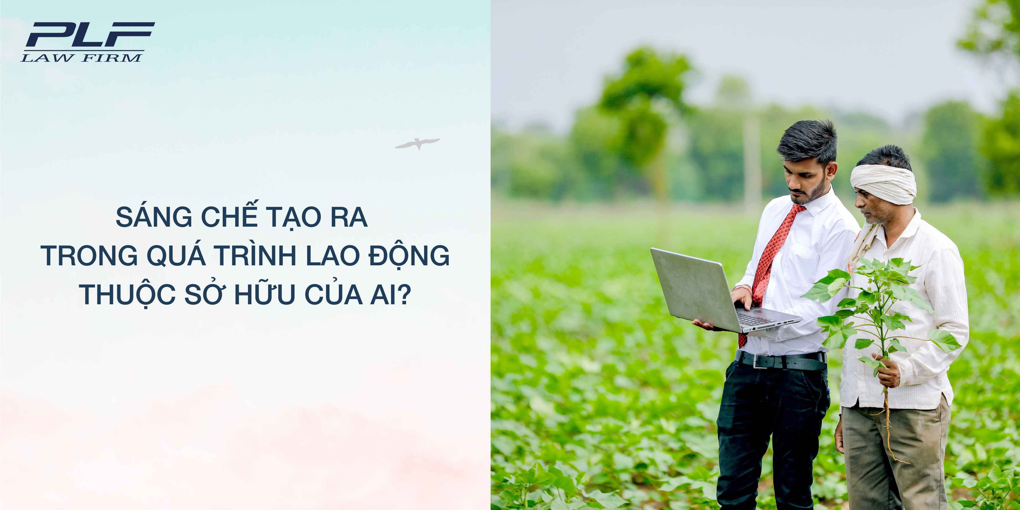 Plf Sang Che Tao Ra Trong Qua Trinh Lao Dong Thuoc So Huu Cua Ai