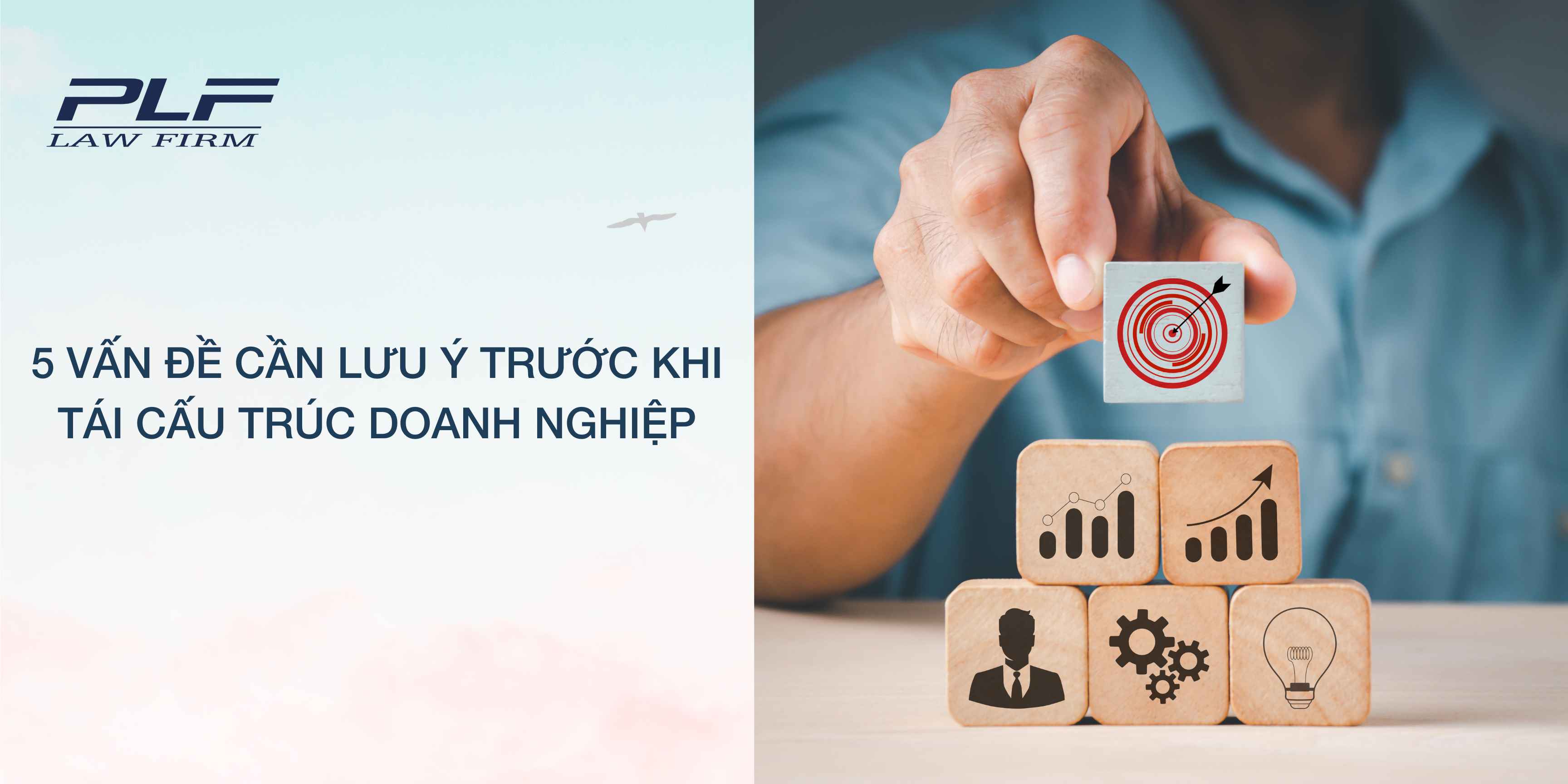 Plf 5 vấn đề cần lưu ý trước khi tái cấu trúc doanh nghiệp