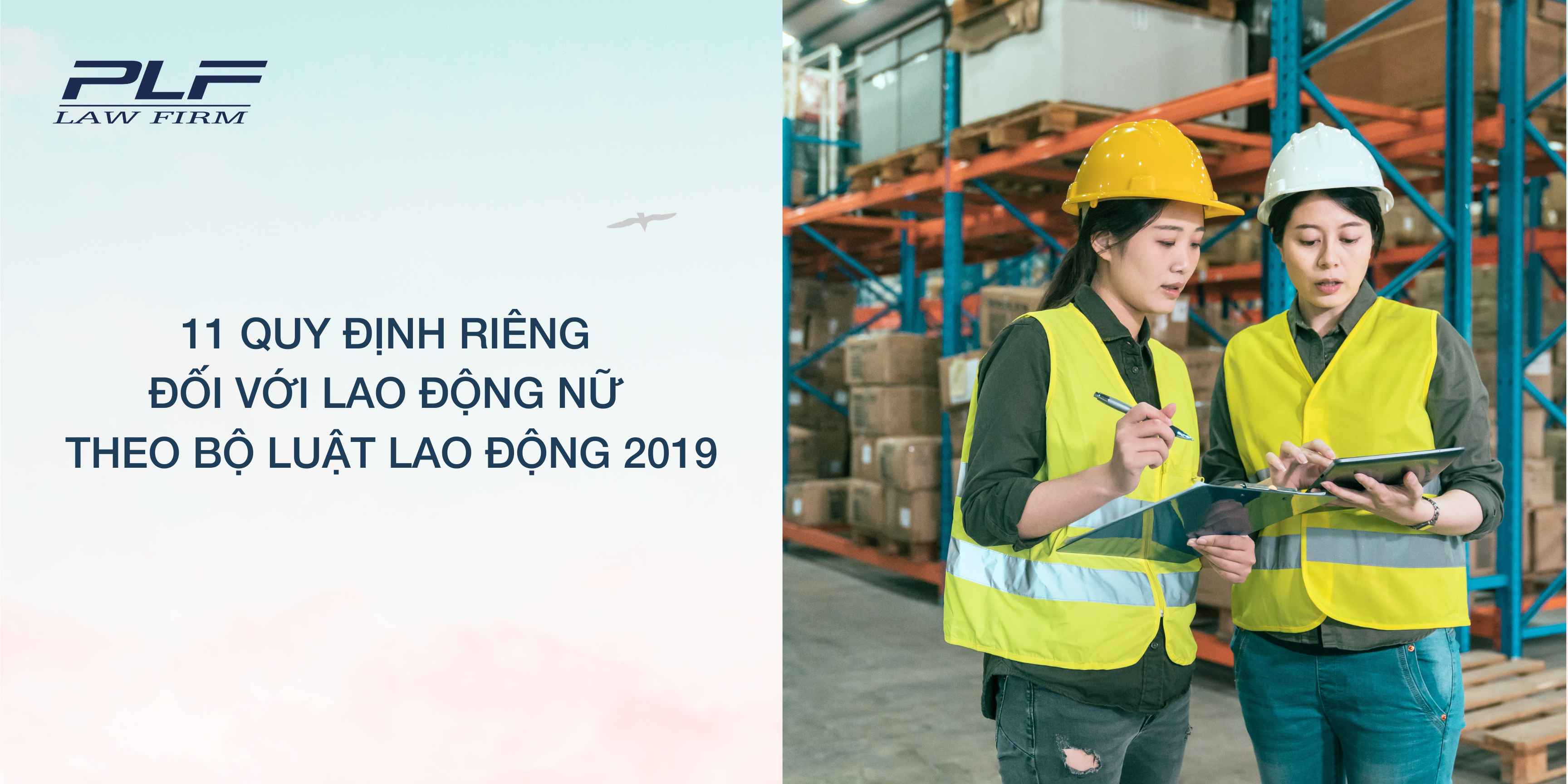 Plf 11 quy định riêng đối với lao động nữ theo Bộ luật Lao Động 2019