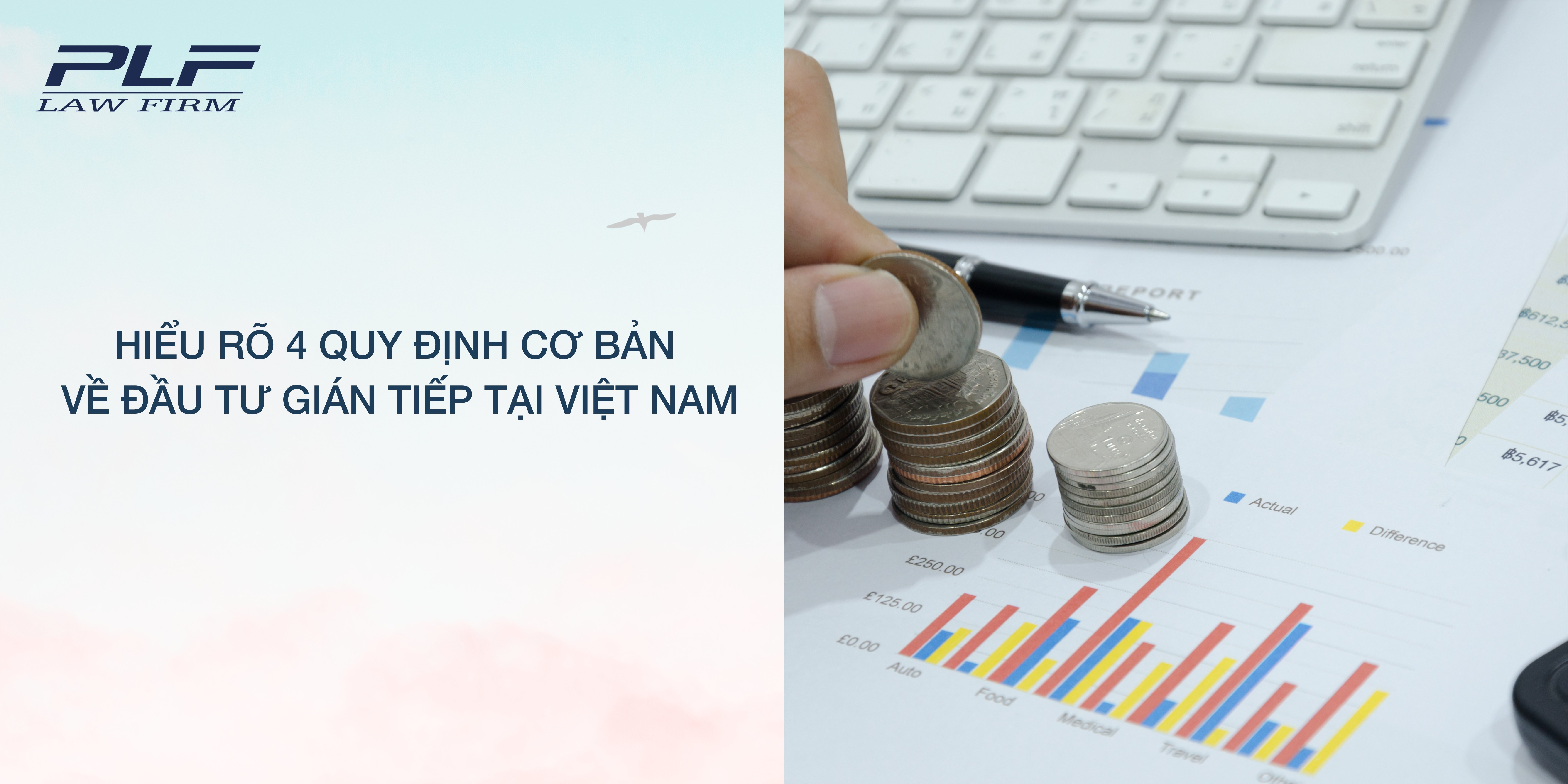 Plf Hieu Ro 4 Quy Dinh Co Ban Ve Dau Tu Gian Tiep Tai Viet Nam