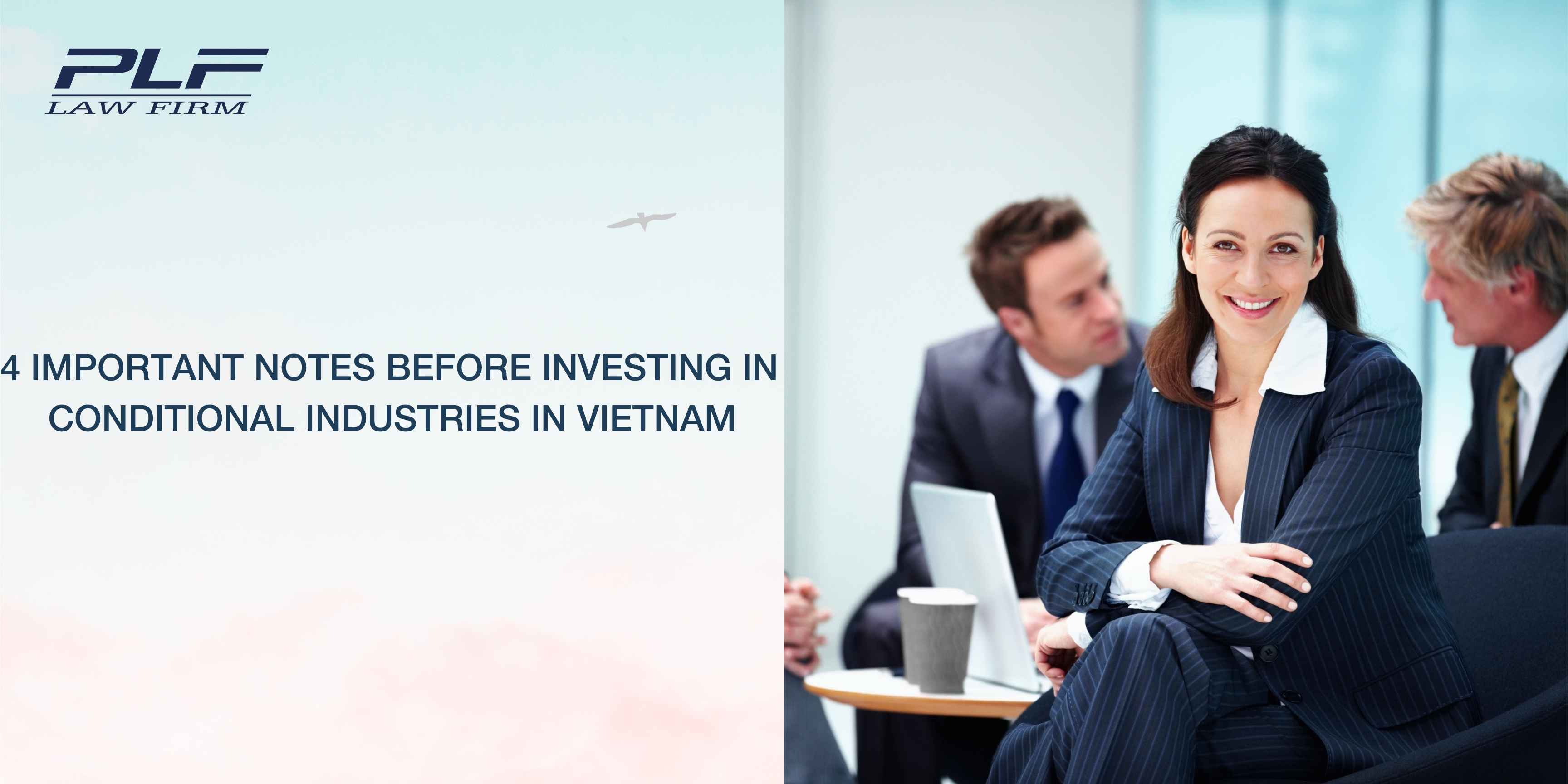 Plf 4 Important Notes Before Investing In Conditional Industries In Vietnam