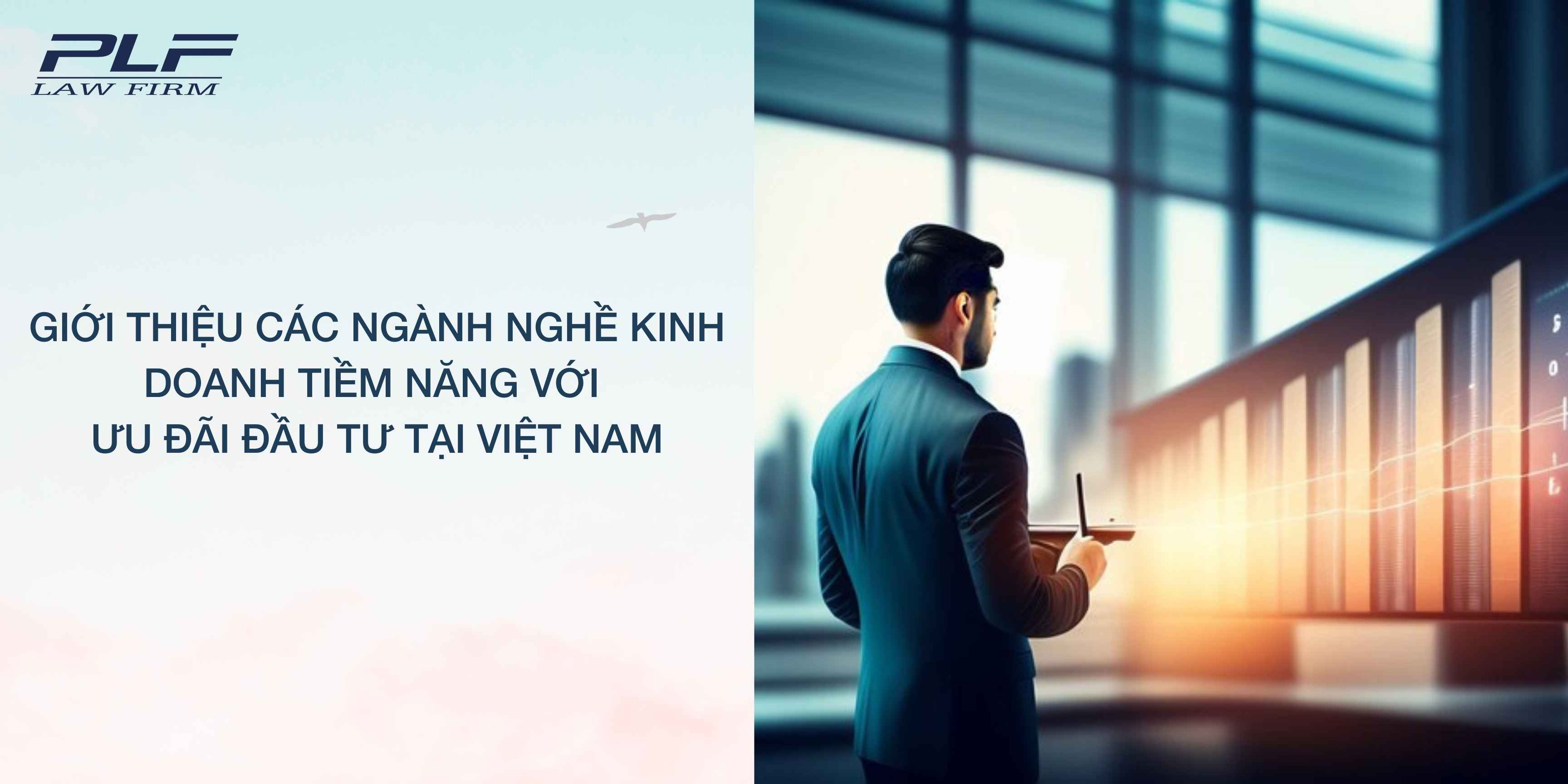 Plf Gioi Thieu Cac Nganh Nghe Kinh Doanh Tiem Nang Voi Uu Dai Dau Tu Tai Viet Nam