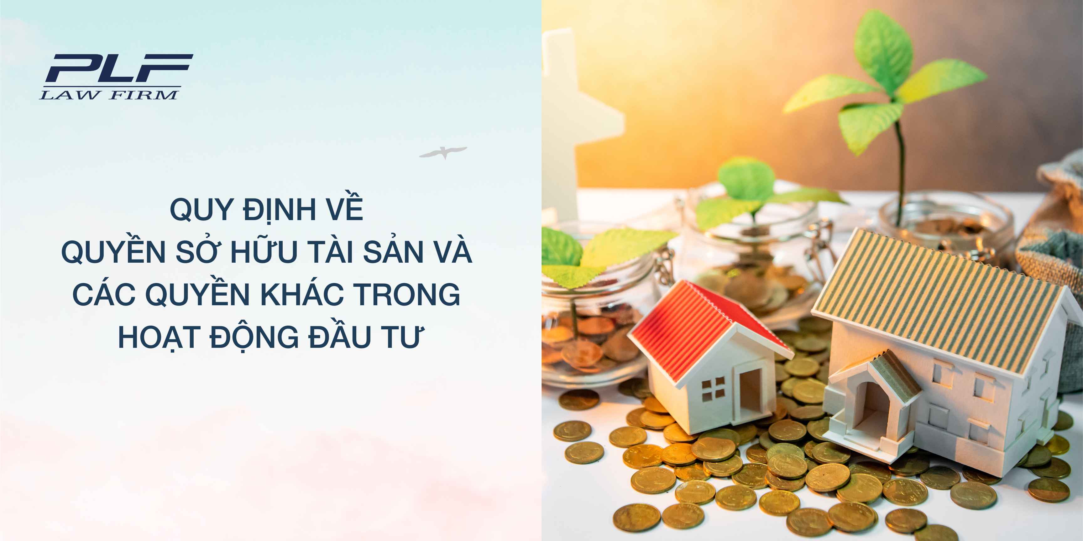 Plf Quy định về quyền sở hữu tài sản và các quyền khác trong hoạt động đầu tư