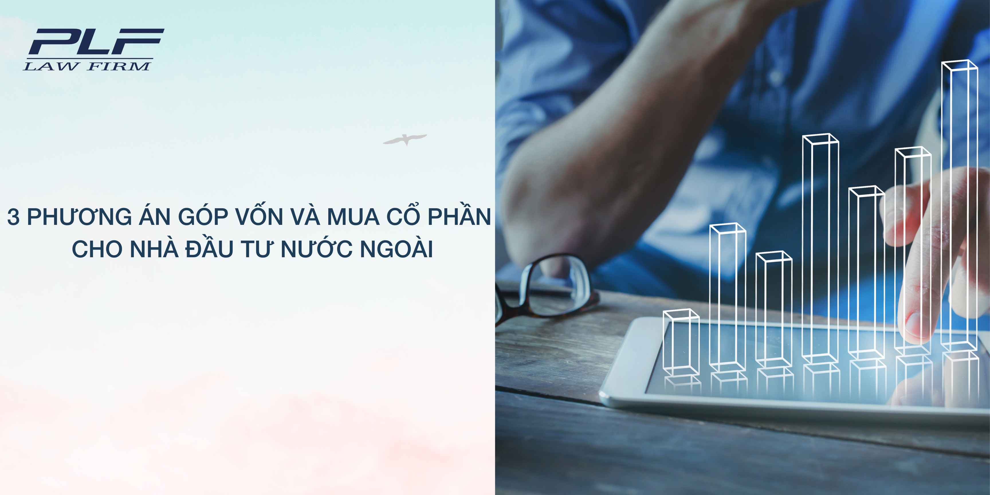Plf 3 Phuong An Gop Von Va Mua Co Phan Cho Nha Dau Tu Nuoc Ngoai