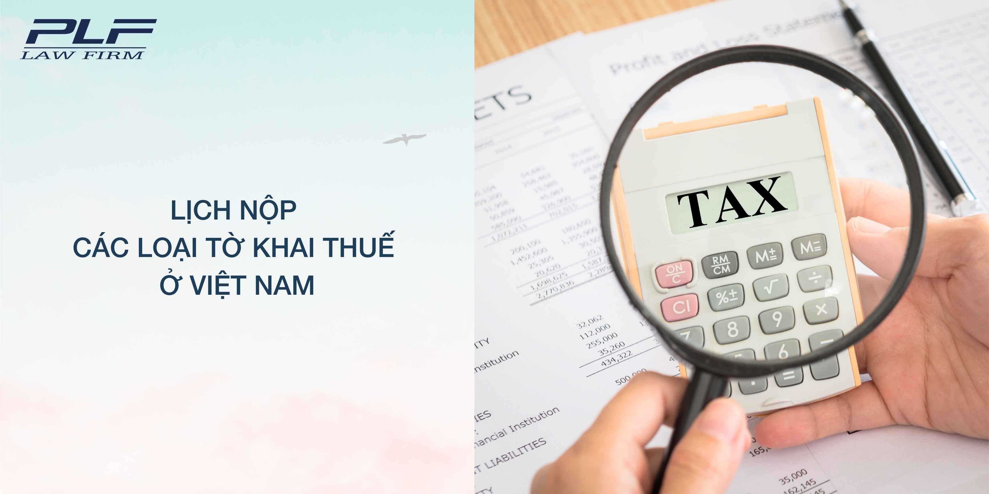 Plf lịch nộp báo cáo thuế, báo cáo tài chính và các hồ sơ khai thuế