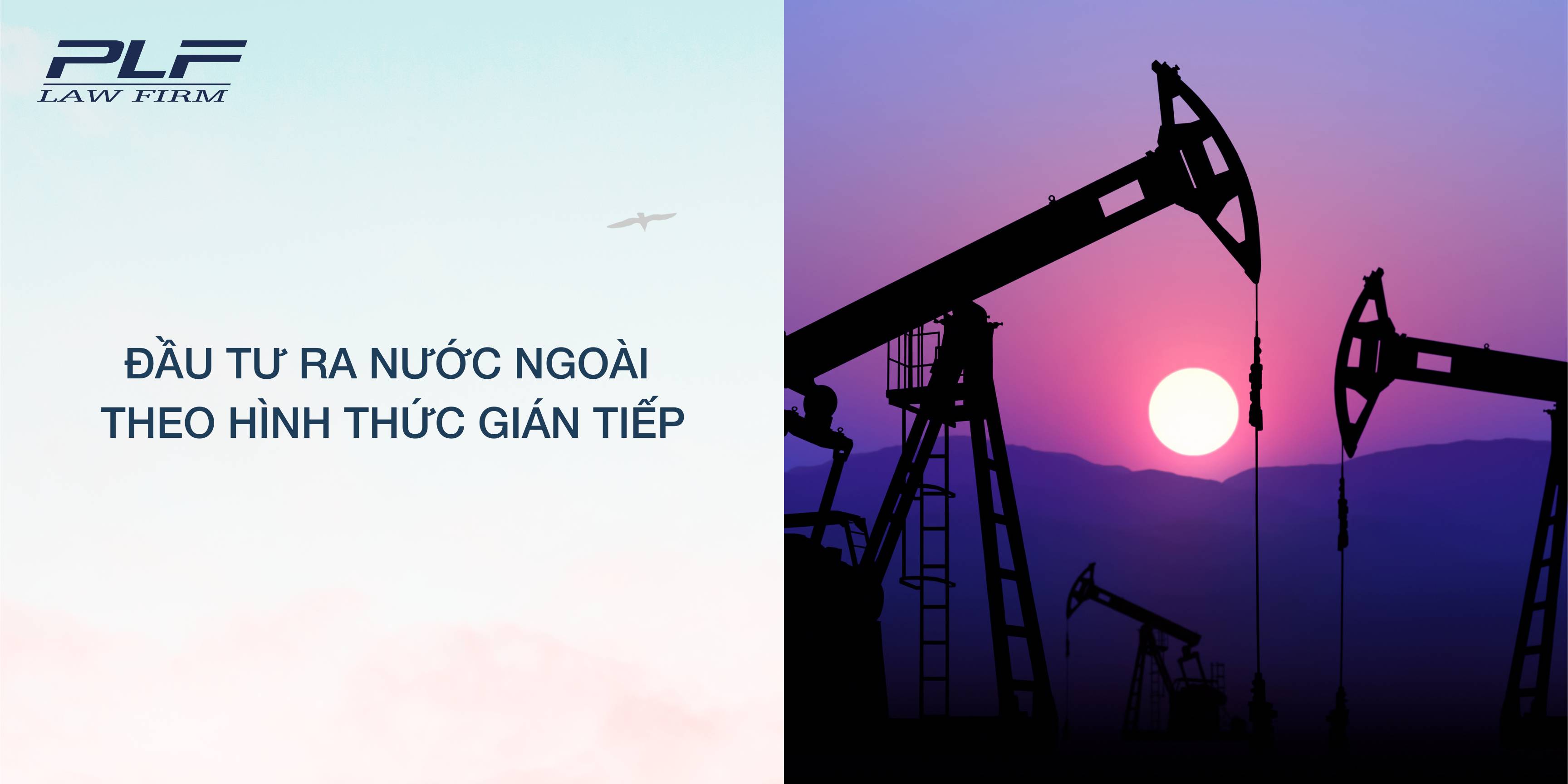 Plf Dau Tu Ra Nuoc Ngoai Theo Hinh Thuc Gian Tiep