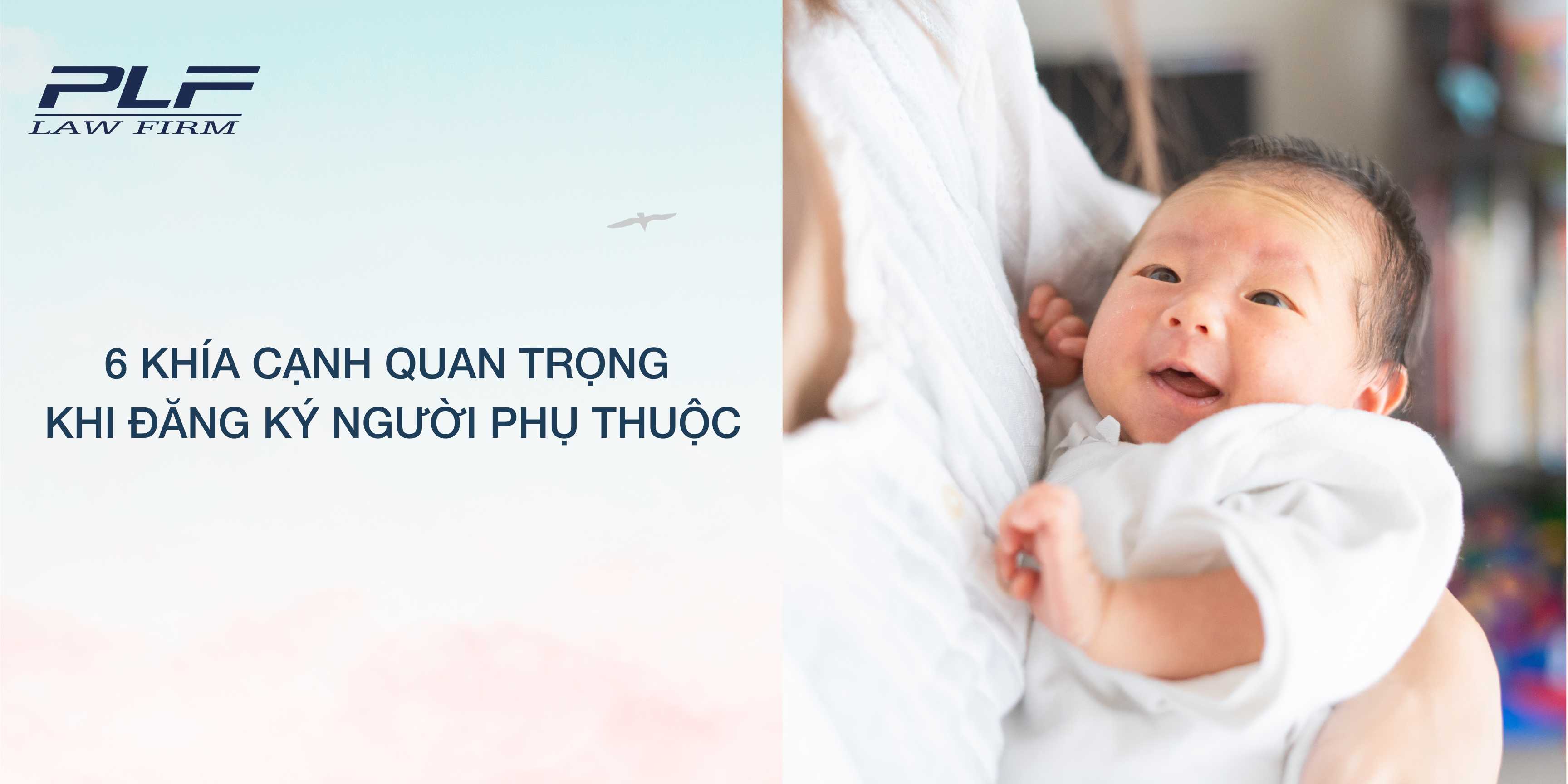 Plf 6 khía cạnh quan trọng khi đăng ký người phụ thuộc