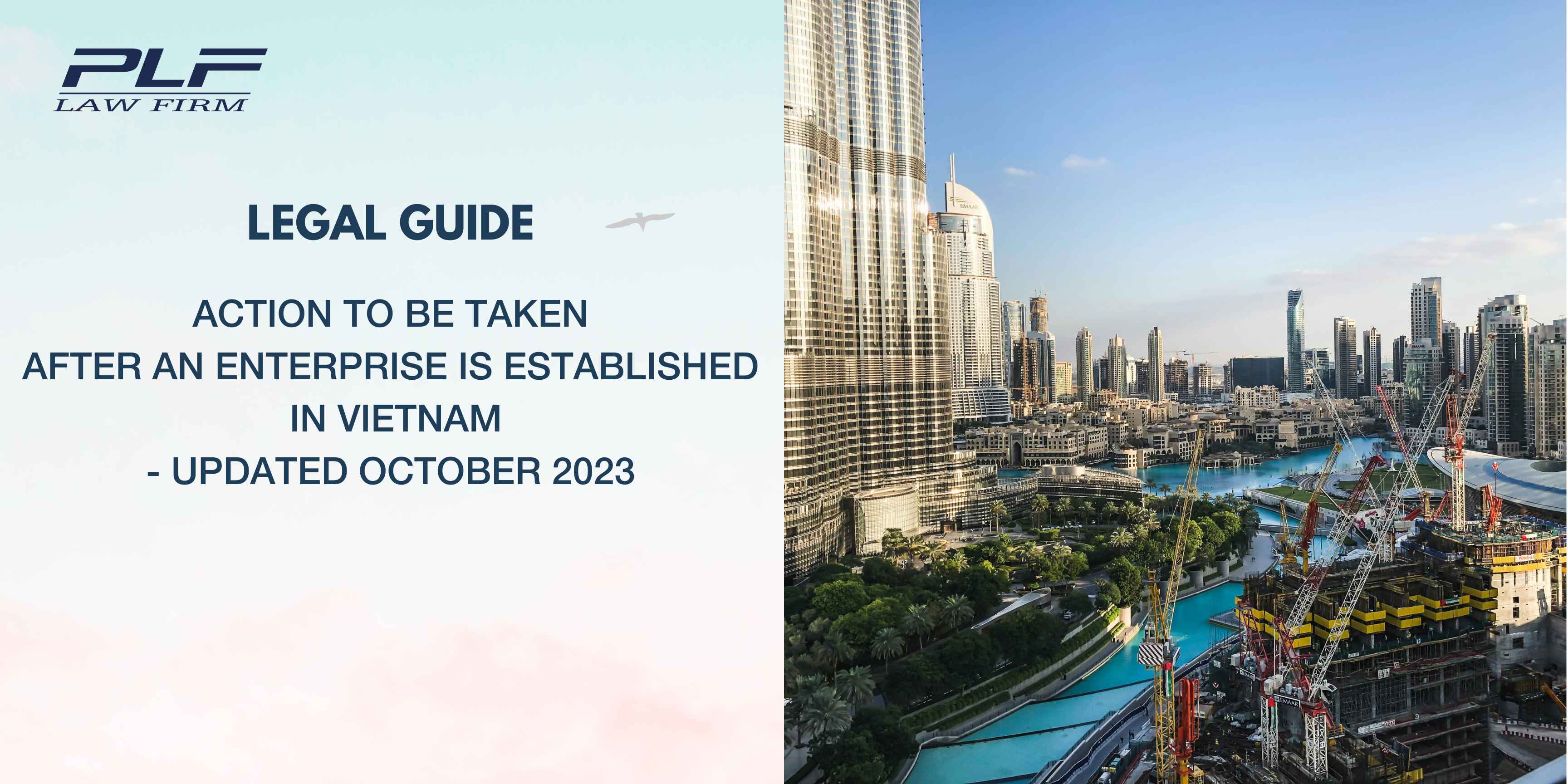 Plf Action To Be Taken After An Enterprise Is Established In Vietnam