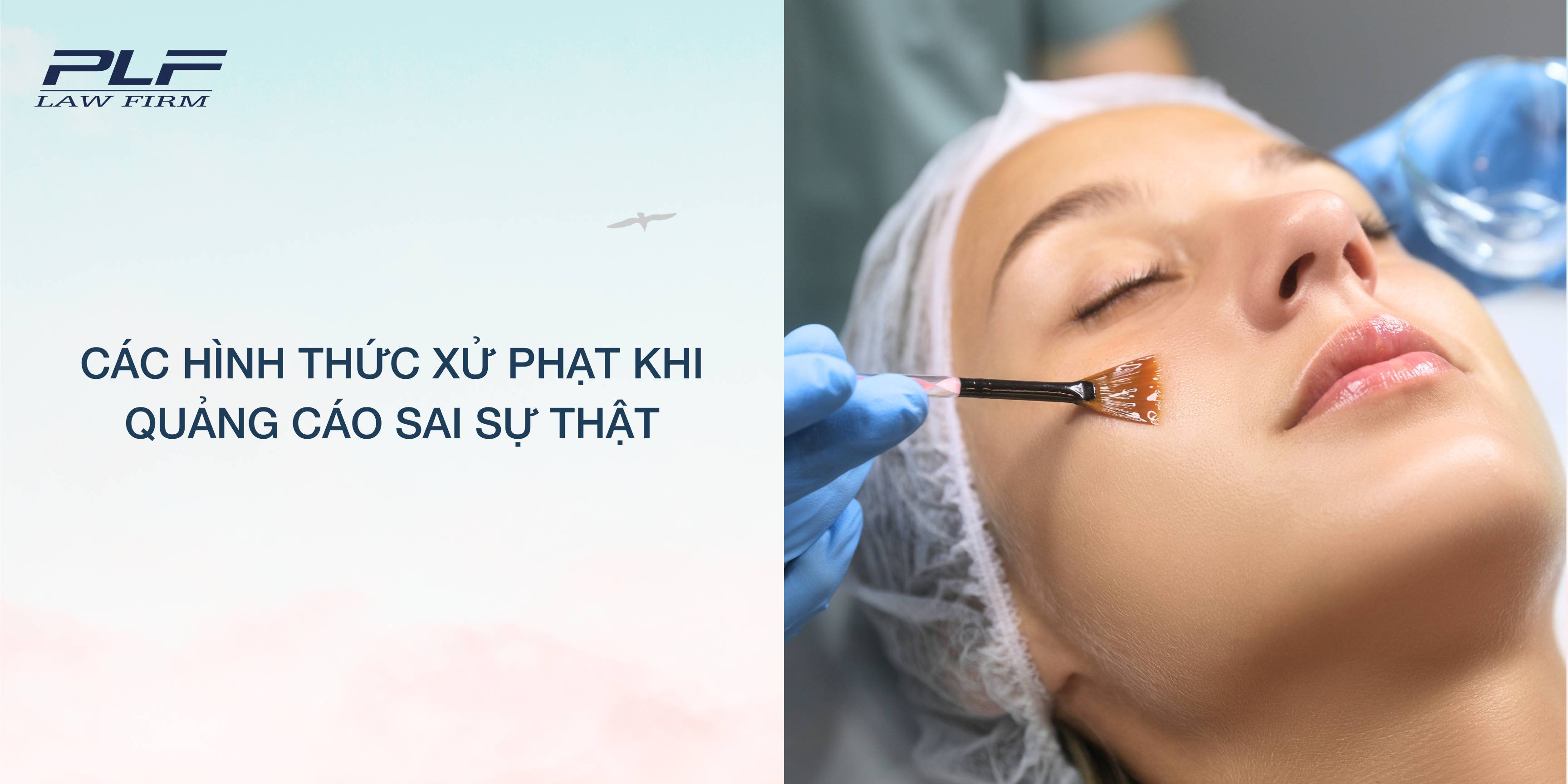 Plf Cac Hinh Thuc Xu Phat Khi Quang Cao Sai Su That