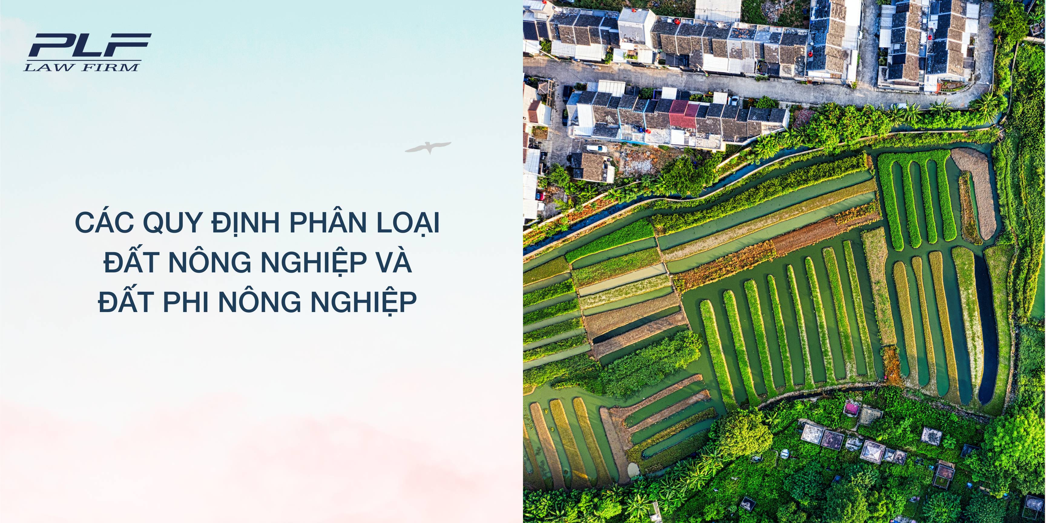 Plf Cac Quy Dinh Phan Loai Dat Nong Nghiep Va Dat Phi Nong Nghiep