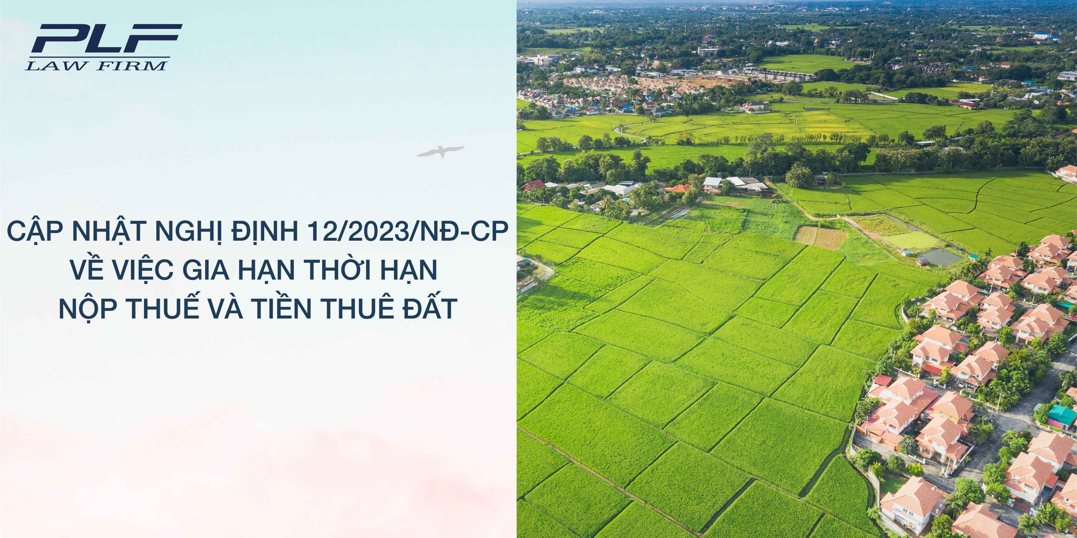 Plf Cap Nhat Nghi Dinh 12 2023 Nd Cp Ve Viec Gia Han Thoi Han Nop Thue Va Tien Thue Dat