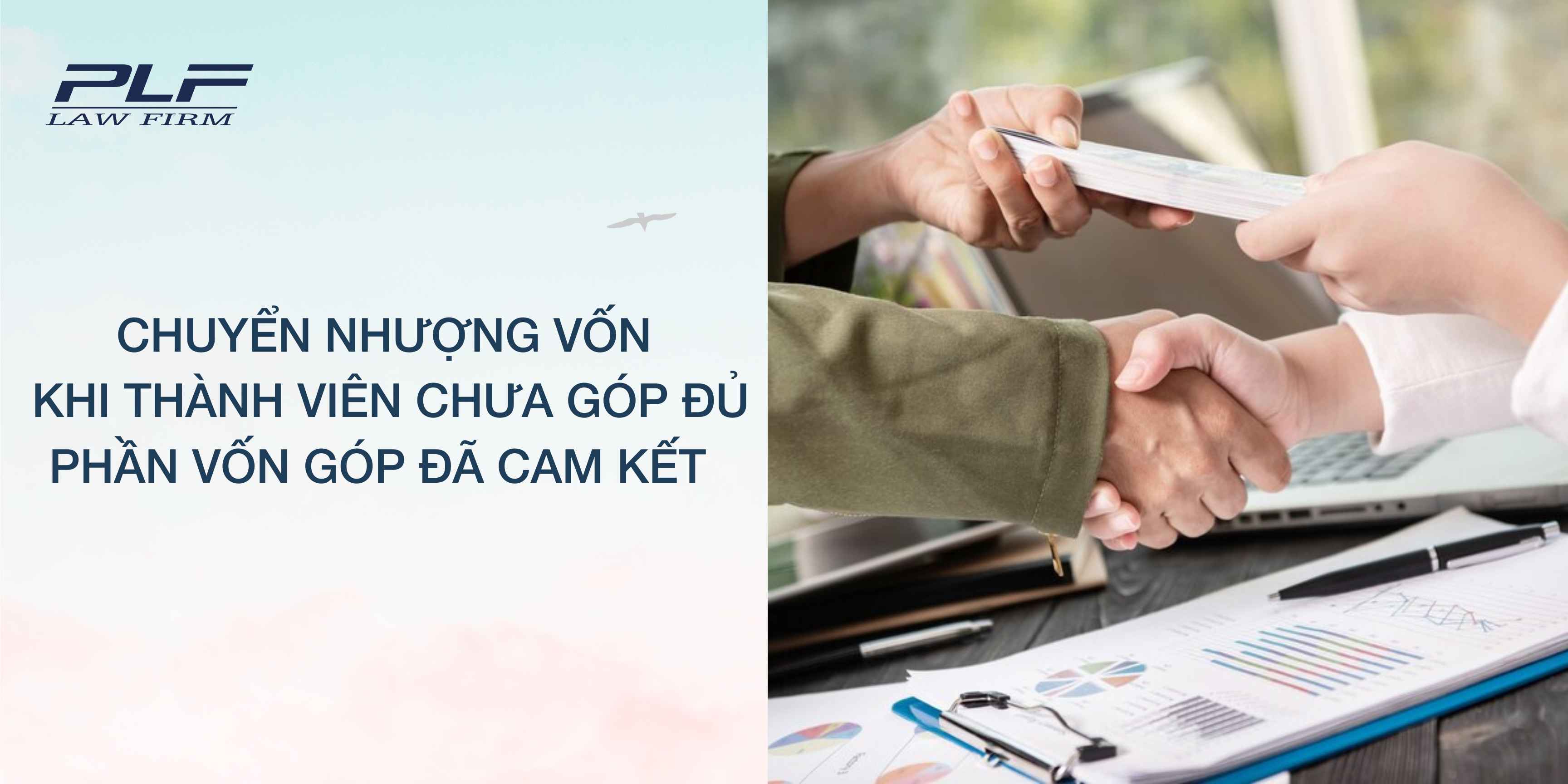 Plf Chuyen Nhuong Von Khi Thanh Vien Chua Gop Du Phan Von Gop Da Cam Ket