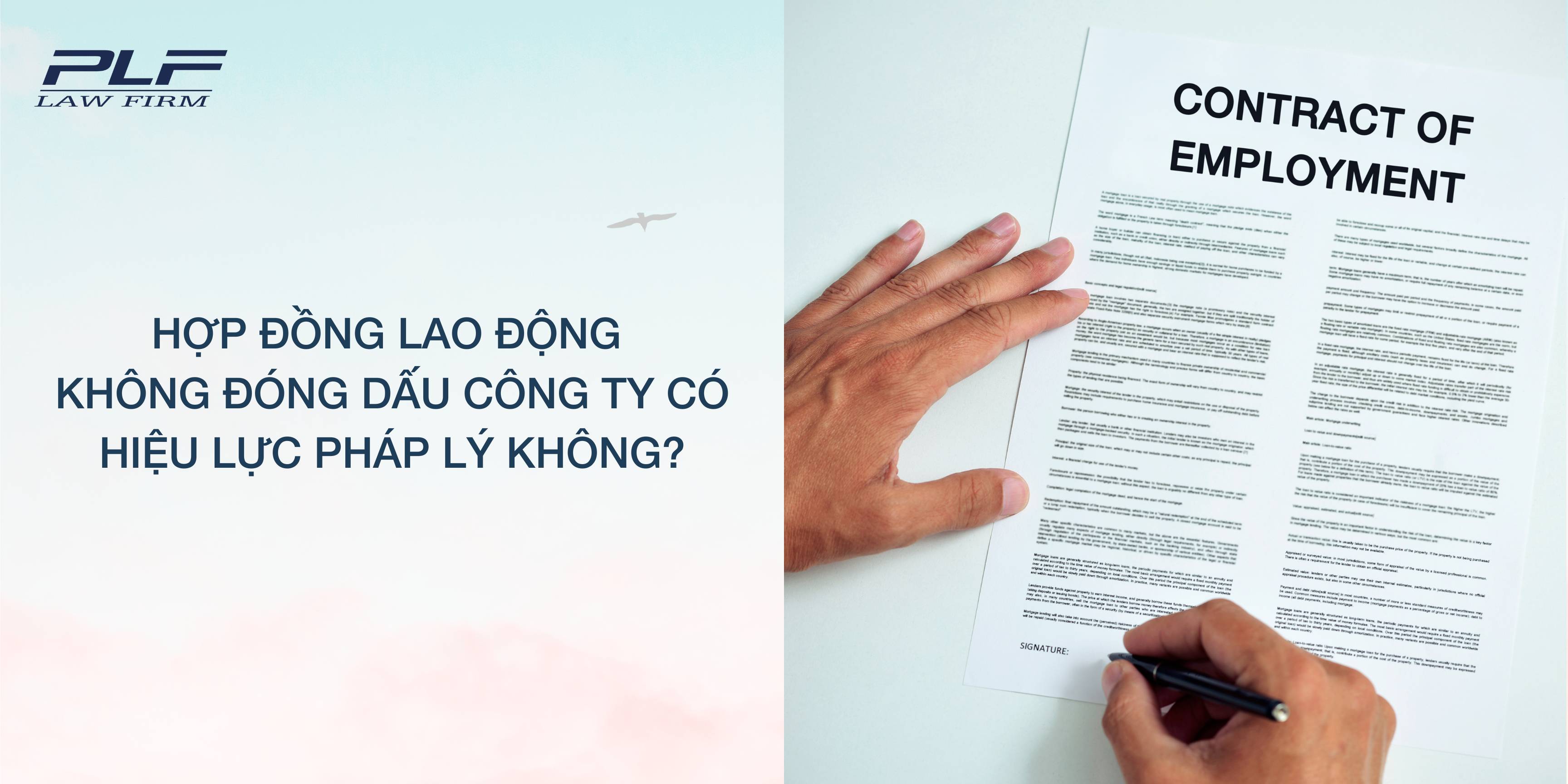 Plf Hop Dong Lao Dong Khong Dong Dau Cong Ty Co Hieu Luc Phap Ly Khong