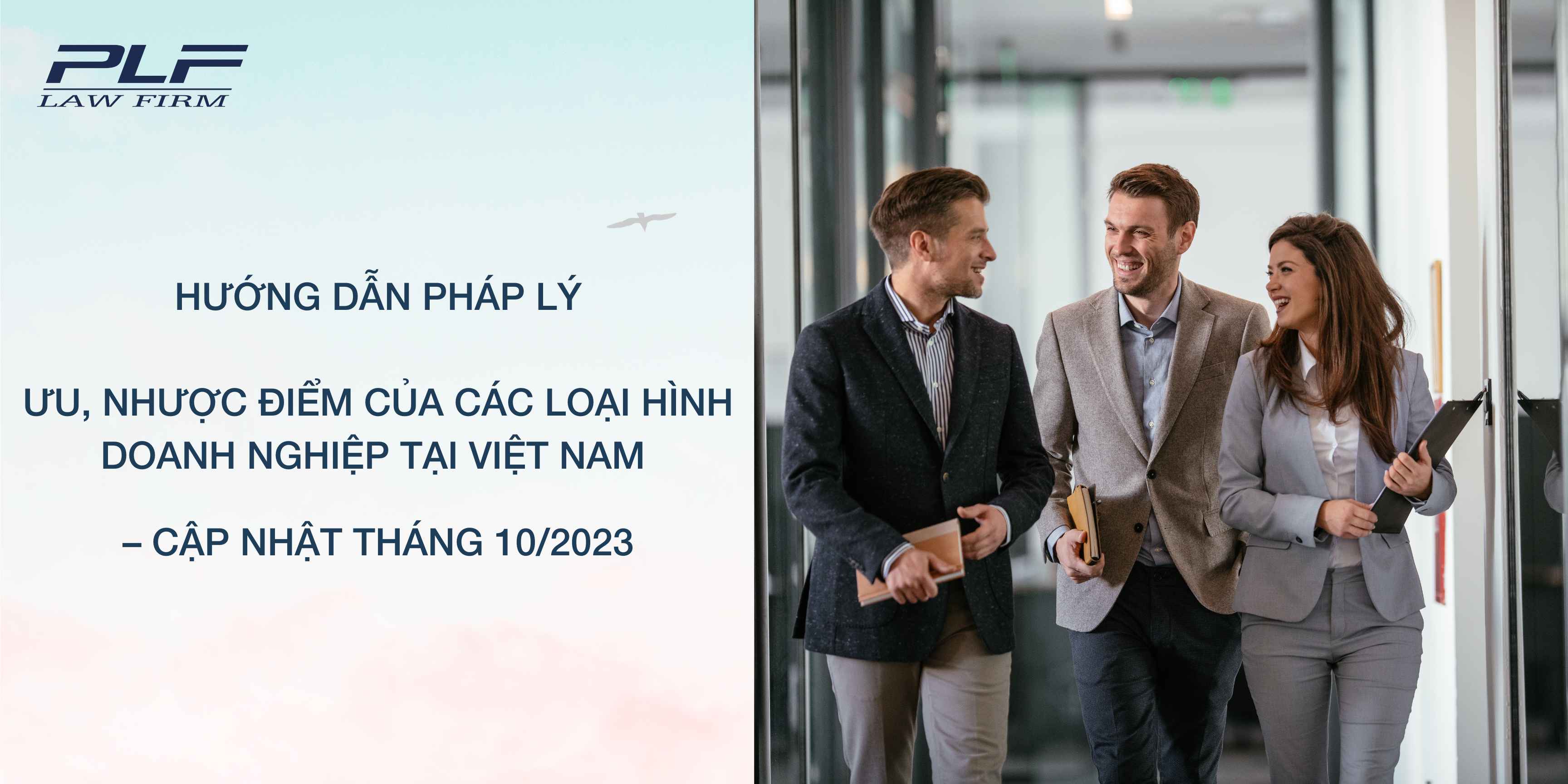 Plf Law Firm Ưu, nhược điểm của các loại hình doanh nghiệp tại Việt Nam