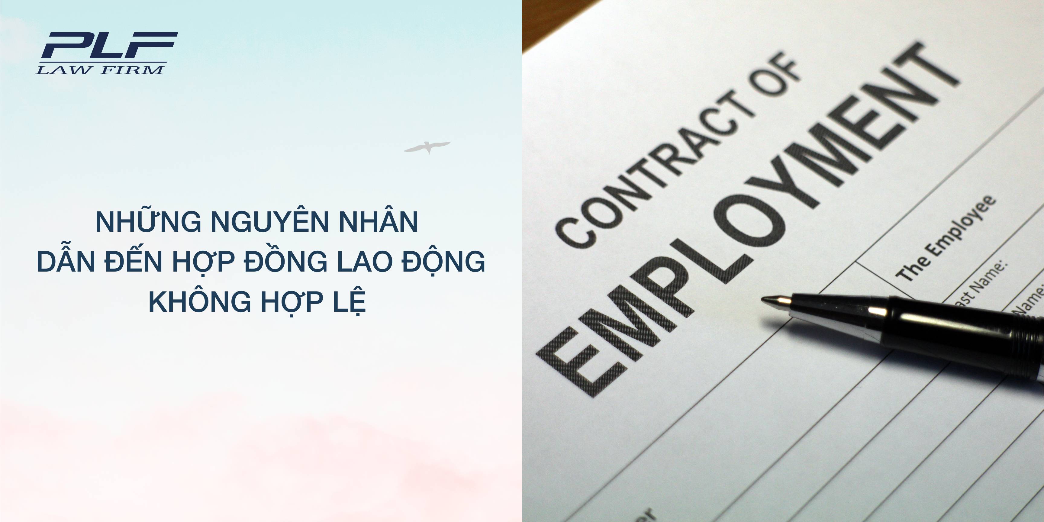 Plf Nhung Nguyen Nhan Dan Den Hop Dong Lao Dong Khong Hop Le