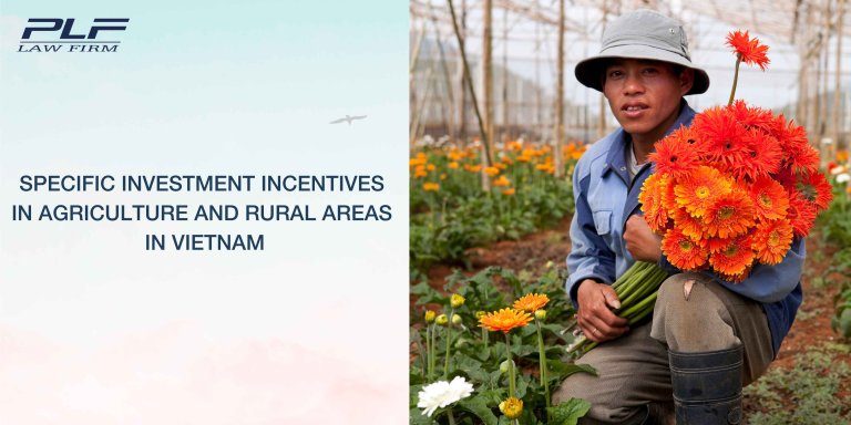 Plf Specific Investment Incentives In Agriculture And Rural Areas In Vietnam