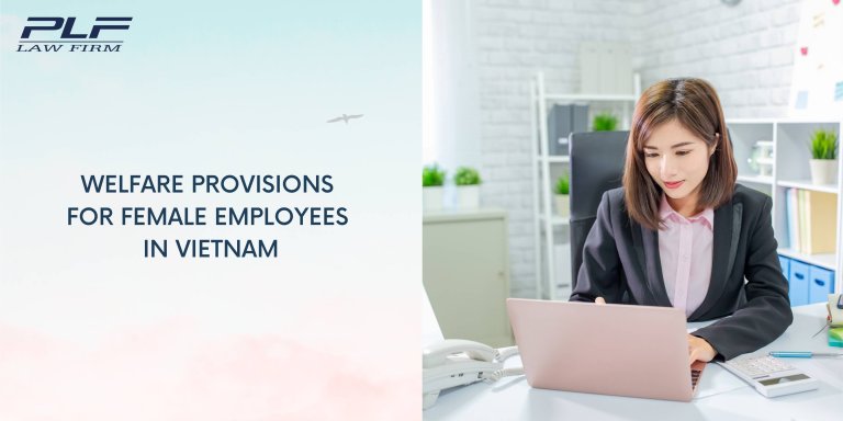 Plf Welfare Provisions For Female Employees In Vietnam