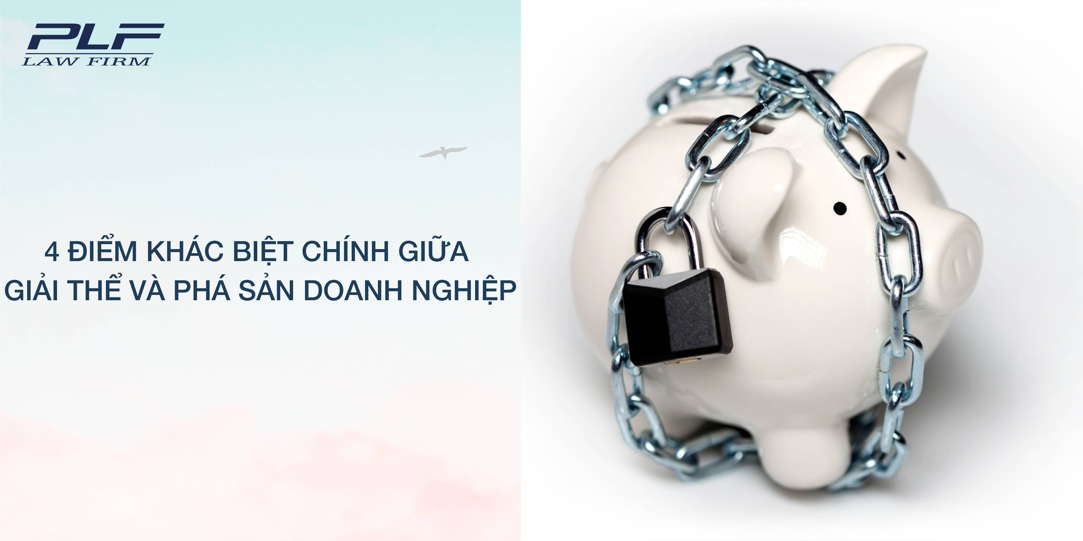 Plf 4 Diem Khac Biet Chinh Giua Giai The Va Pha San Doanh Nghiep