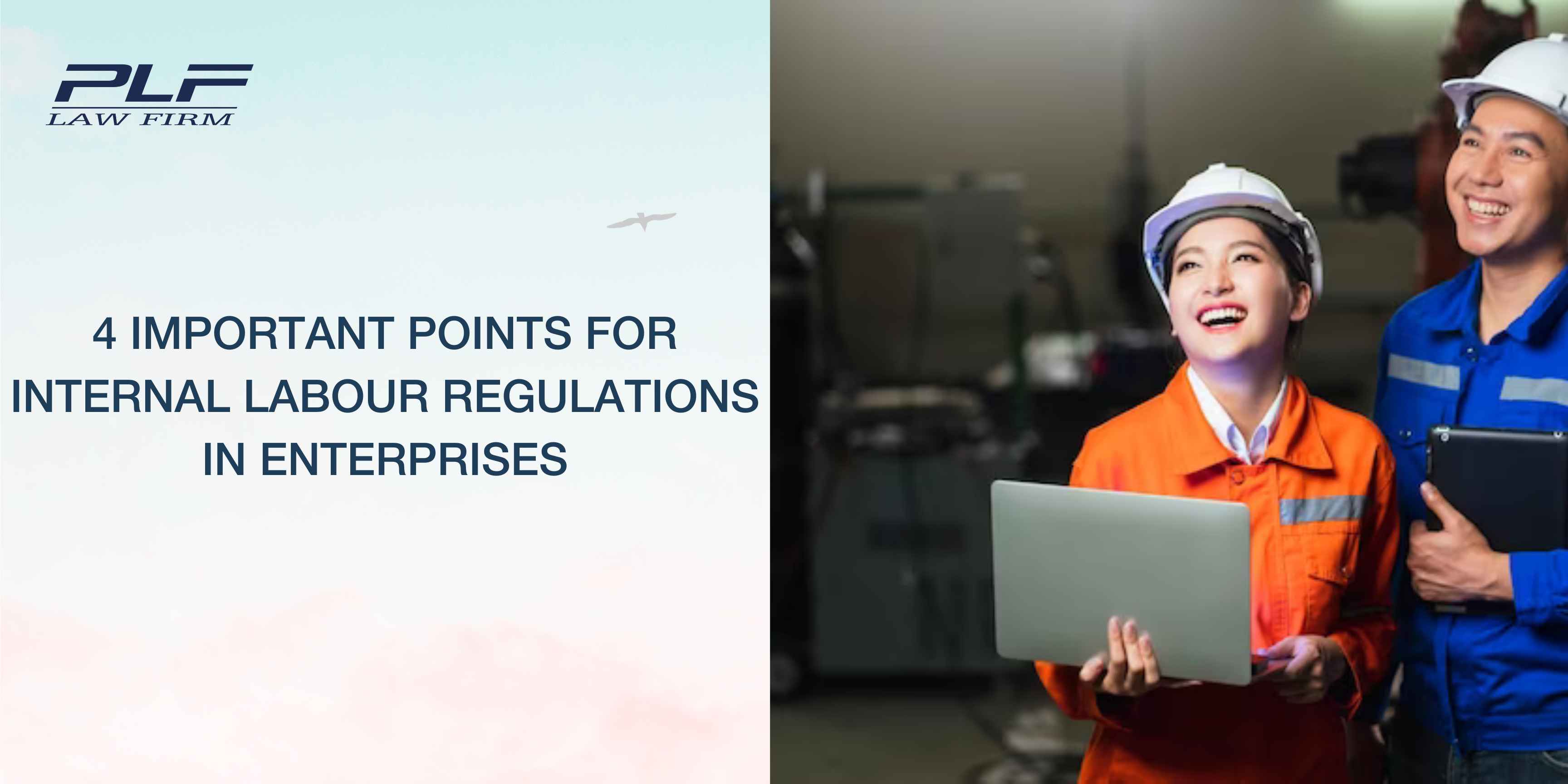 Plf 4 Important Points For Internal Labour Regulations In Enterprises