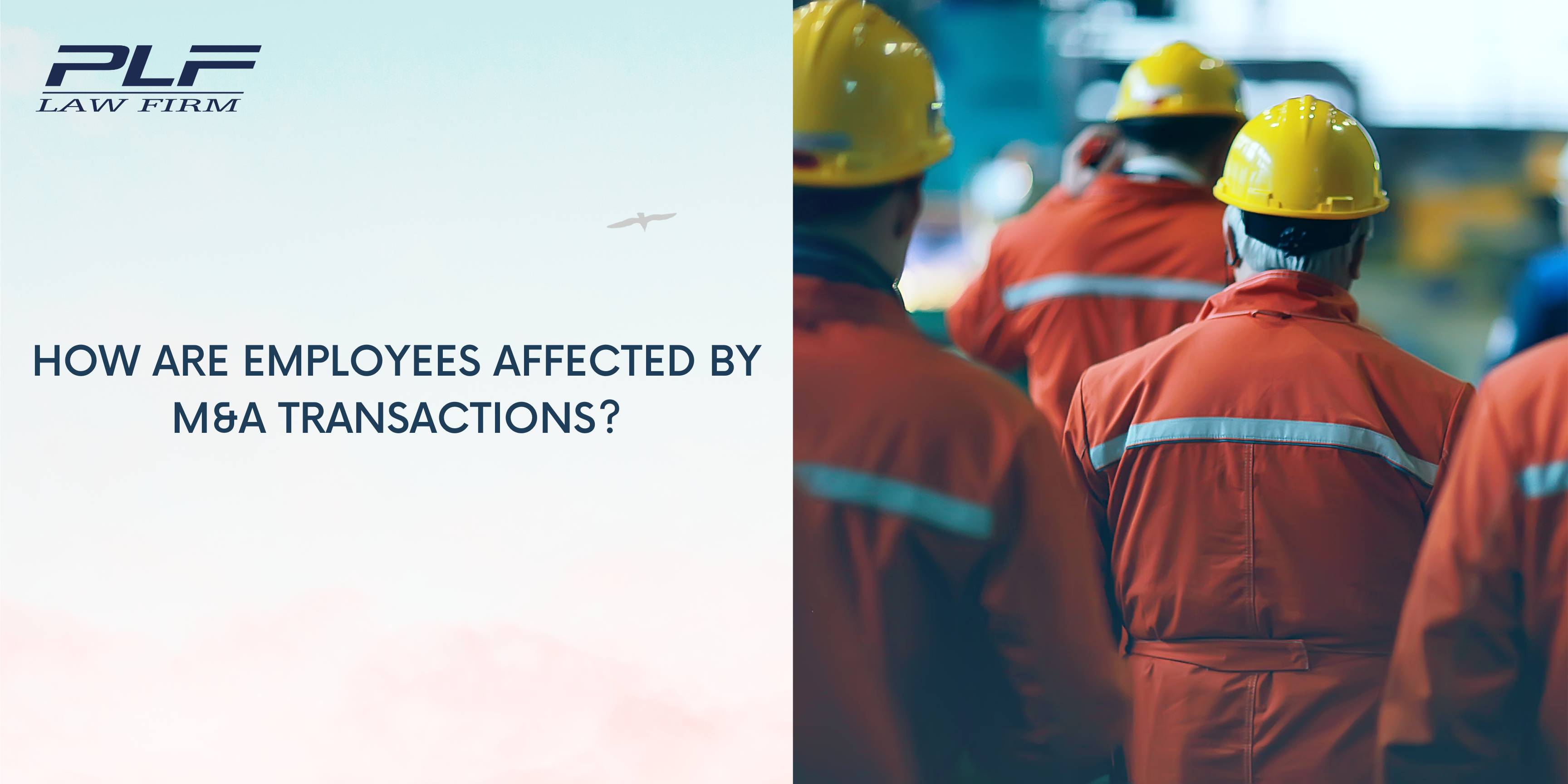 Plf How Are Employees Affected By Ma Transactions