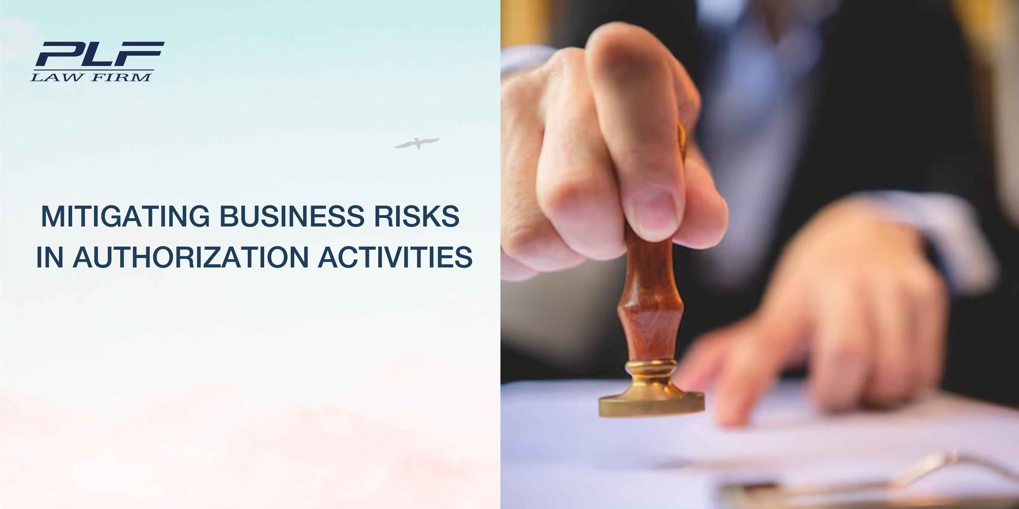 Plf Mitigating Business Risks In Authorization Activities