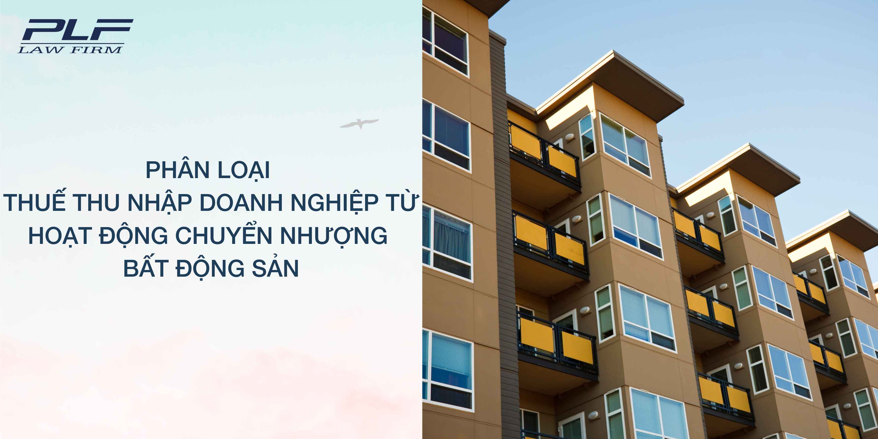 Plf Phan Loai Thue Thu Nhap Doanh Nghiep Tu Hoat Dong Chuyen Nhuong Bds