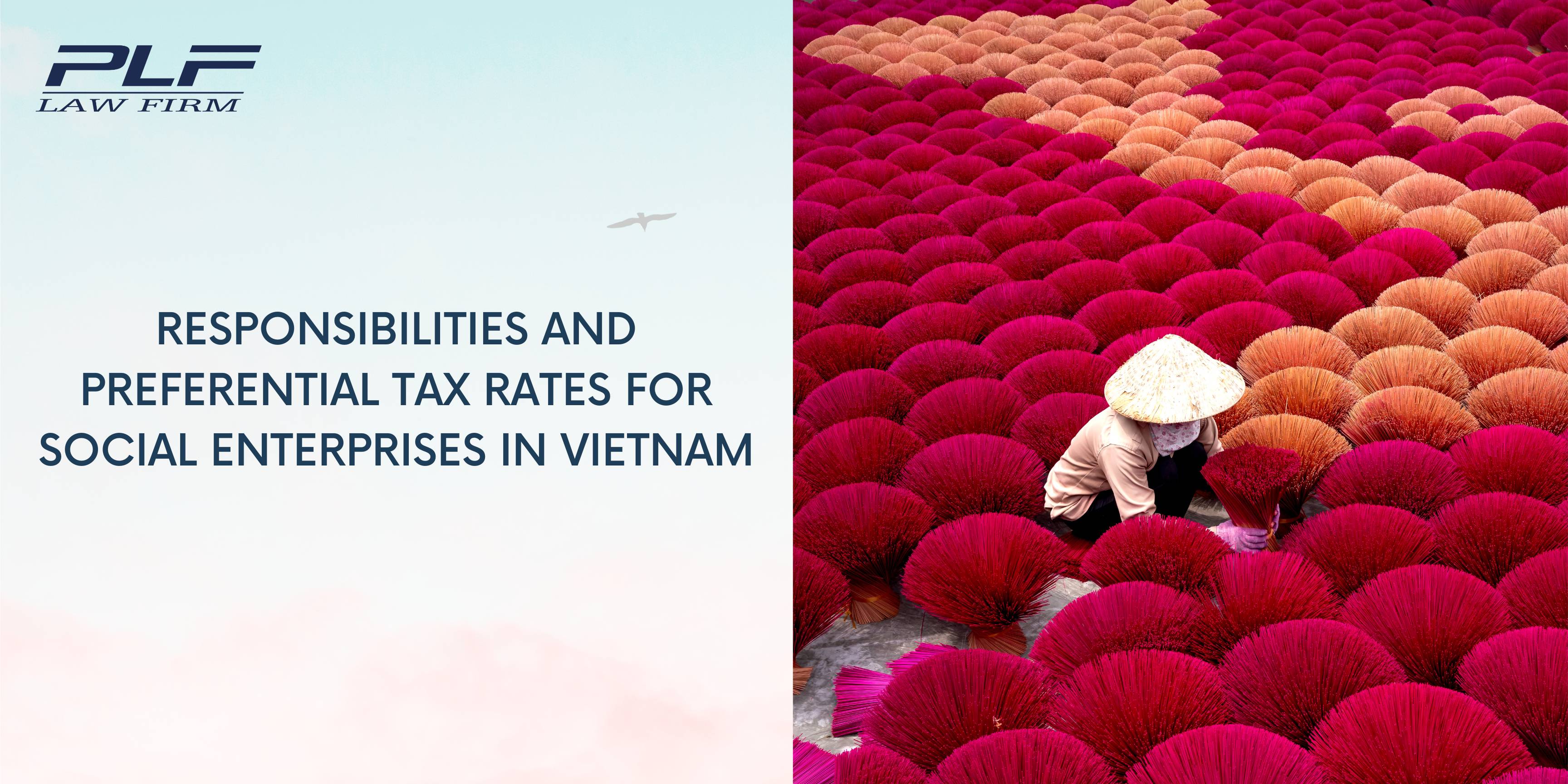 Plf Responsibilities And Preferential Tax Rates For Social Enterprises In Vietnam