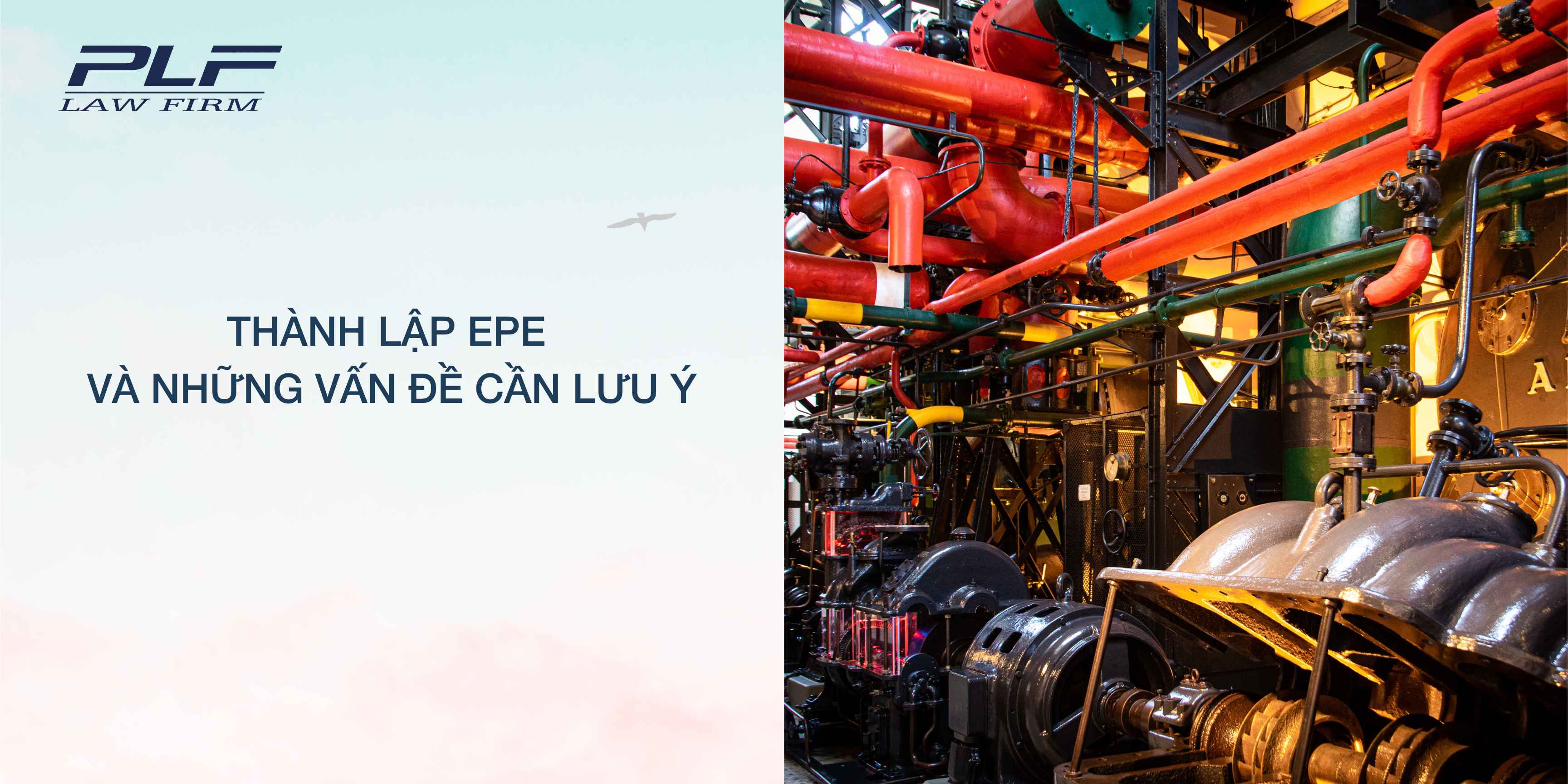 PLF Law Firm Hỗ Trợ Thành Lập Doanh Nghiệp Chế Xuất Và Những Vấn Đề Cần Lưu Ý