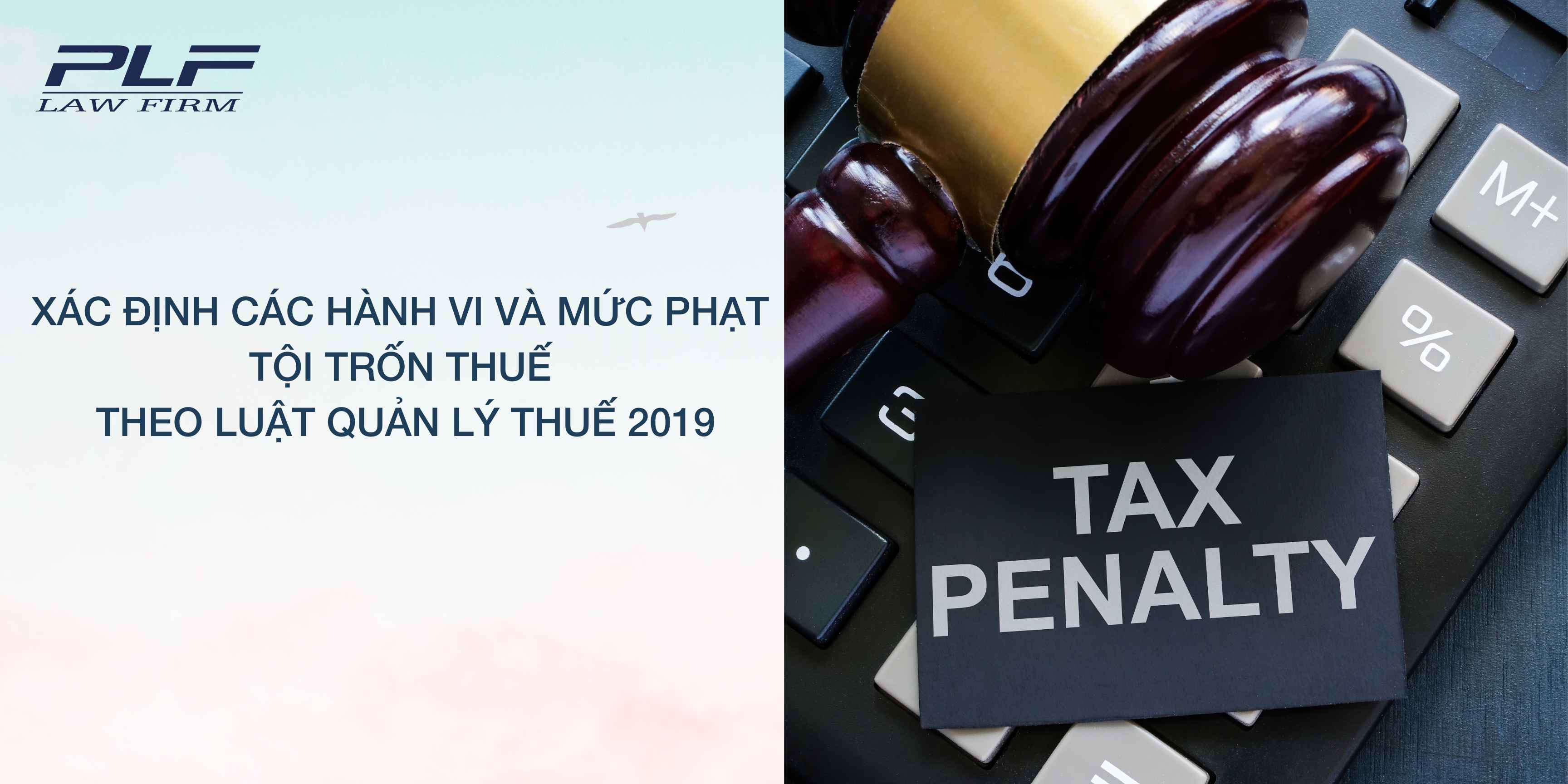 Plf Xac Dinh Cac Hanh Vi Va Muc Phat Toi Tron Thue Theo Luat Quan Ly Thue