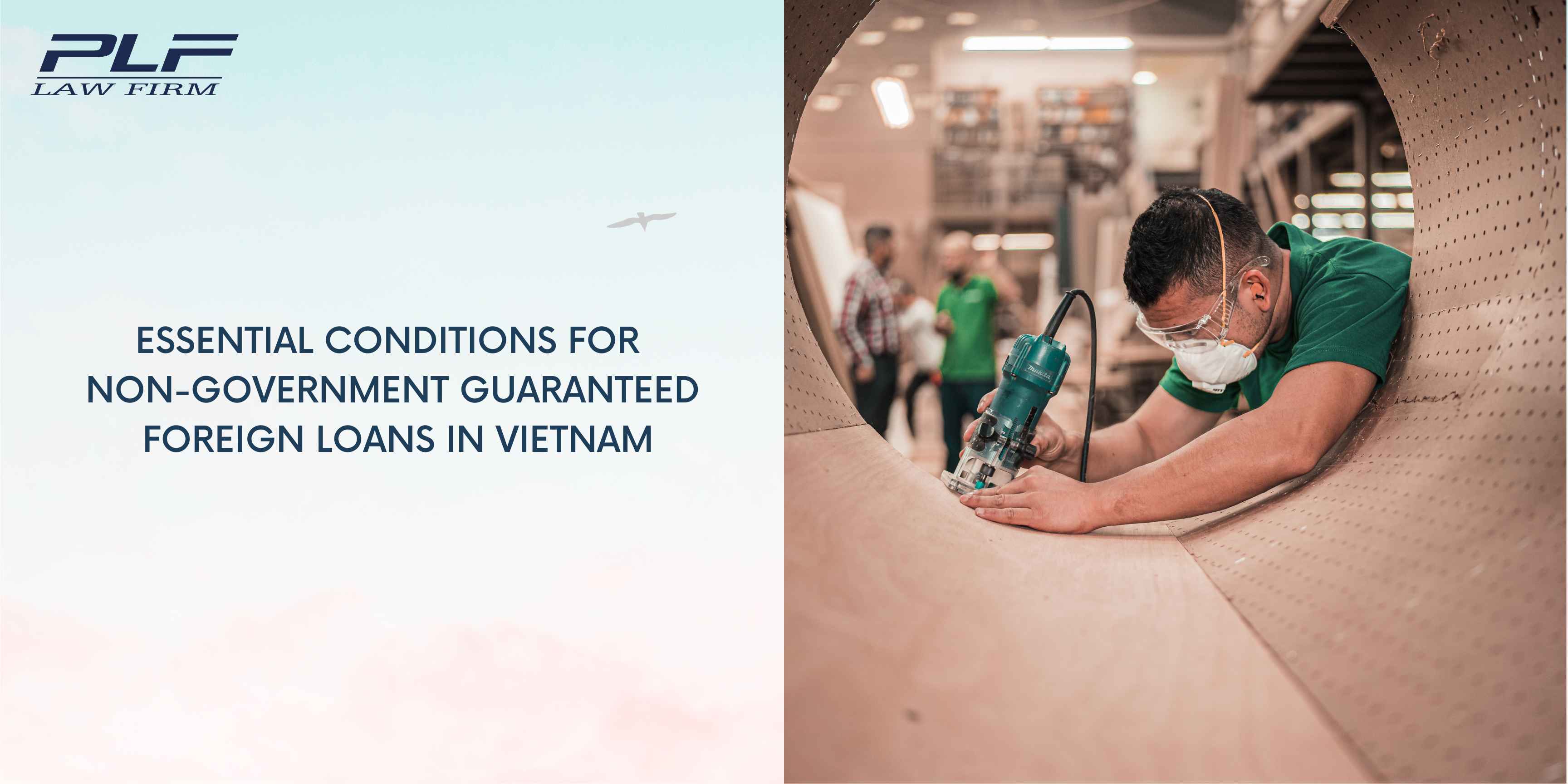 Plf Essential Conditions For Non Government Guaranteed Foreign Loans In Vietnam
