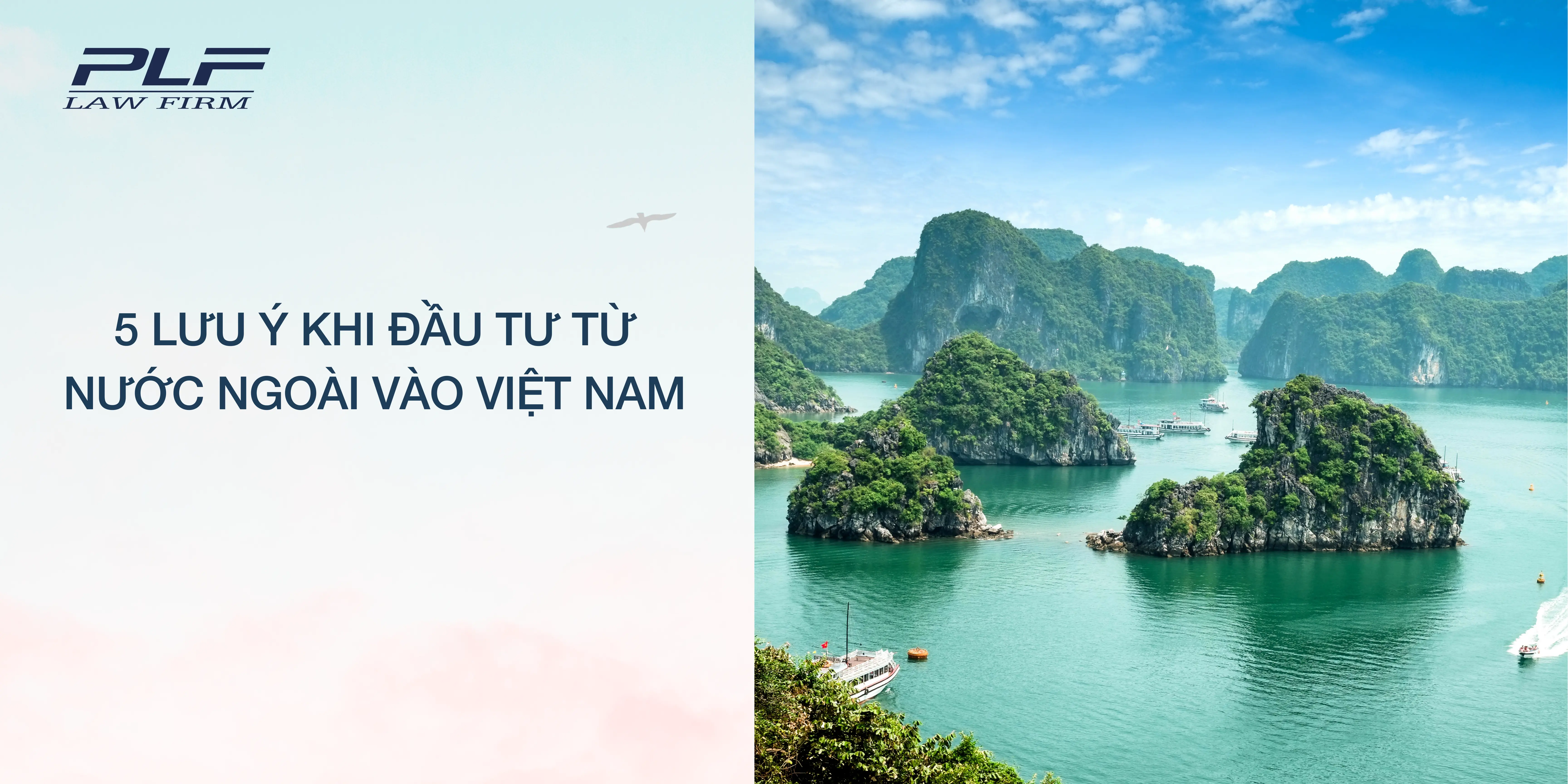 PLF_5 lưu ý khi đầu tư từ nước ngoài vào Việt Nam