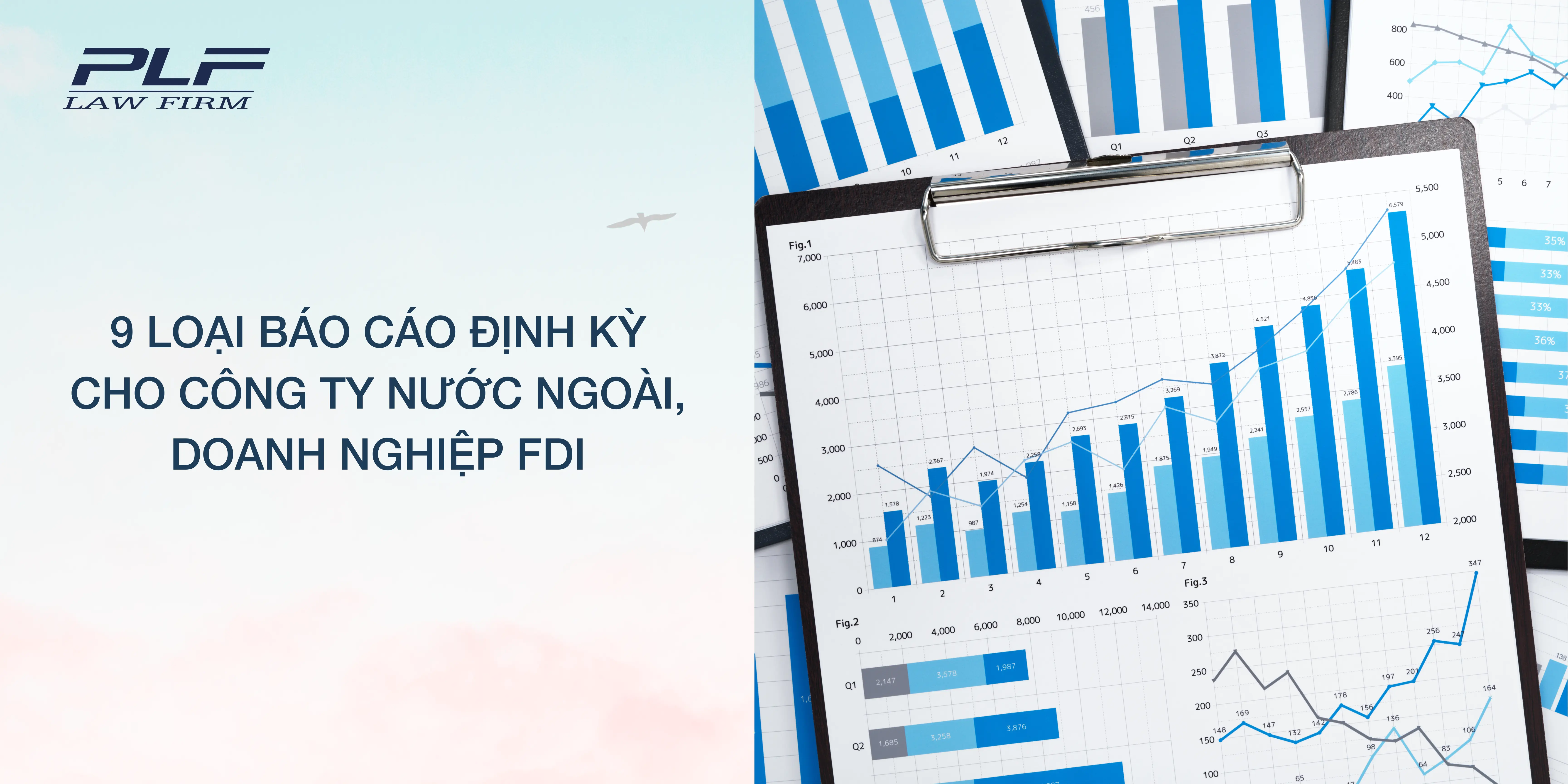 9 Loai Bao Cao Dinh Ky Cho Cong Ty Nuoc Ngoai Doanh Nghiep Fdi