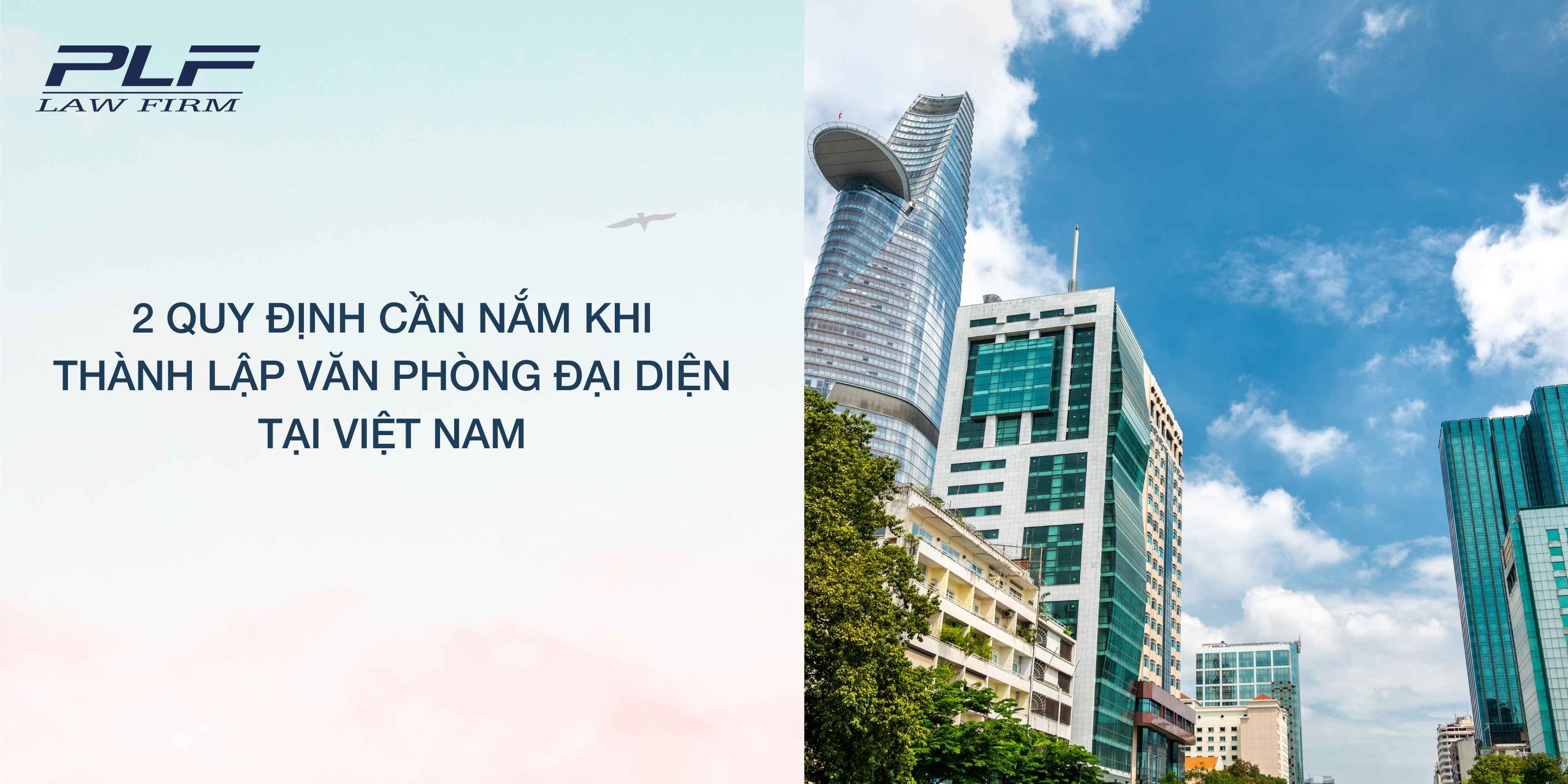 Plf 2 Quy Dinh Can Nam Khi Thanh Lap Van Phong Dai Dien Tai Viet Nam