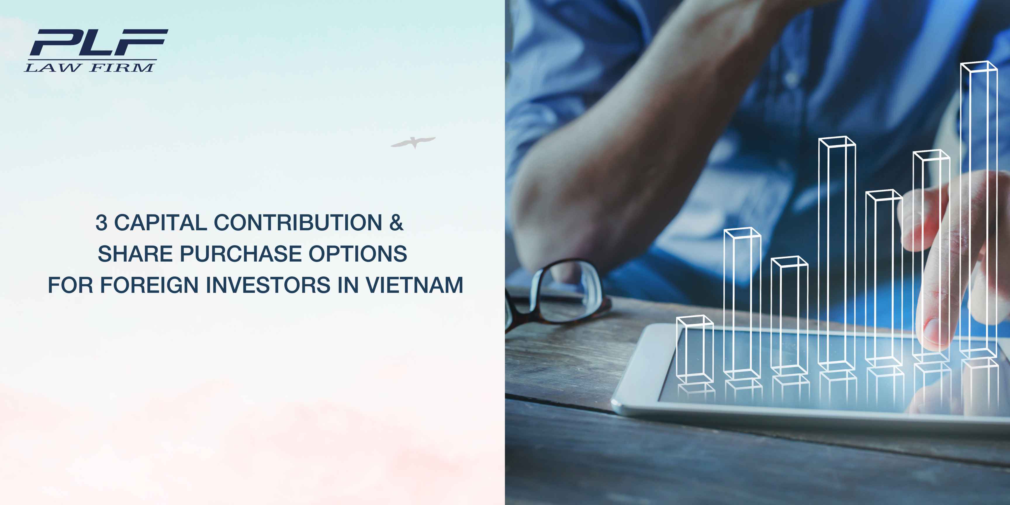 Plf 3 Capital Contribution Share Purchase Options For Foreign Investors In Vietnam