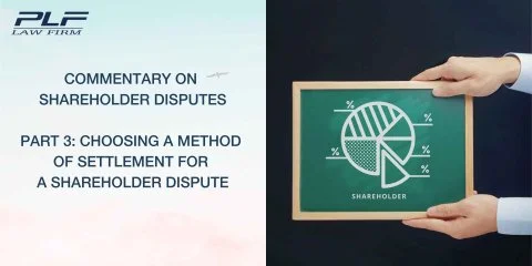 Plf Commentary On Shareholder Disputes P3